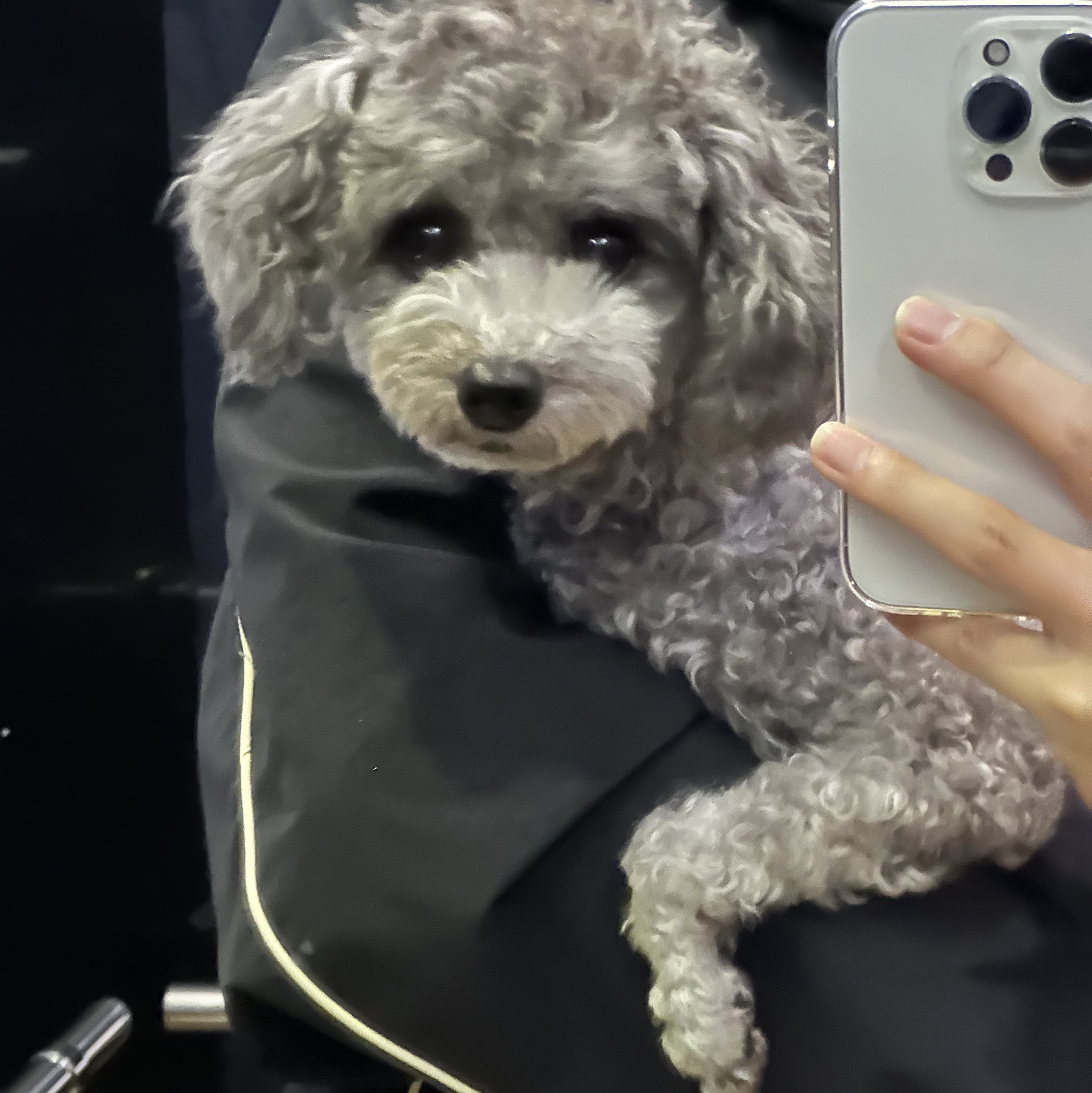 Diesel J-Hives Windbreaker with Contrast Piping Black 착용 스타일 - 2