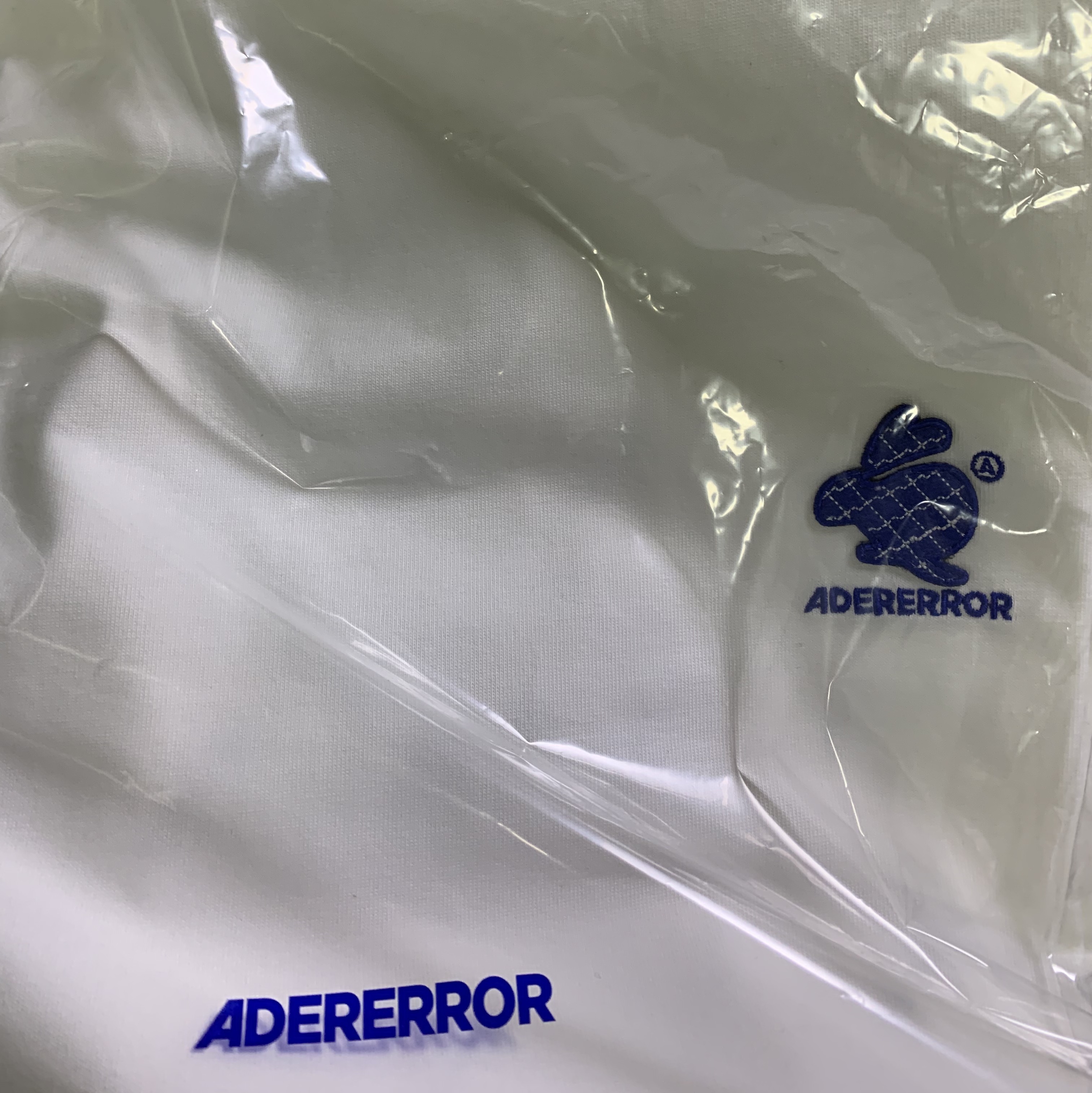 Ader Error Twinny Small Logo T-Shirt White 착용 스타일