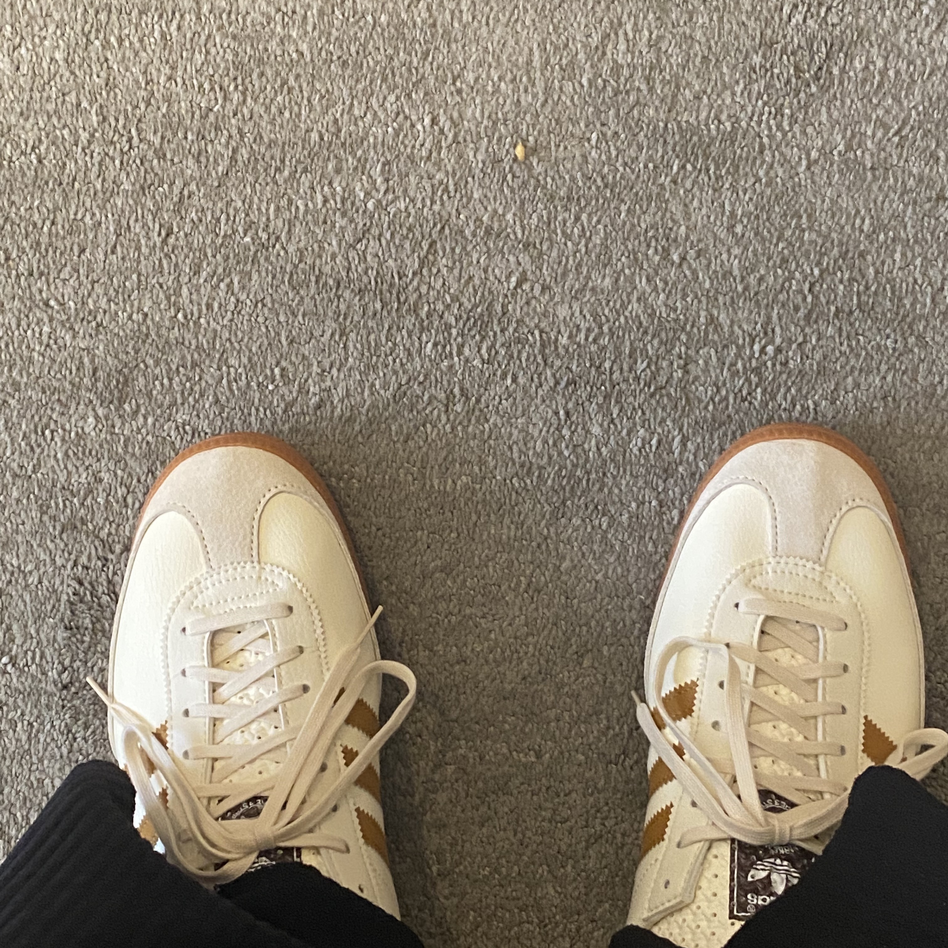Adidas City Series Triest Cream White 착용 스타일 - 1