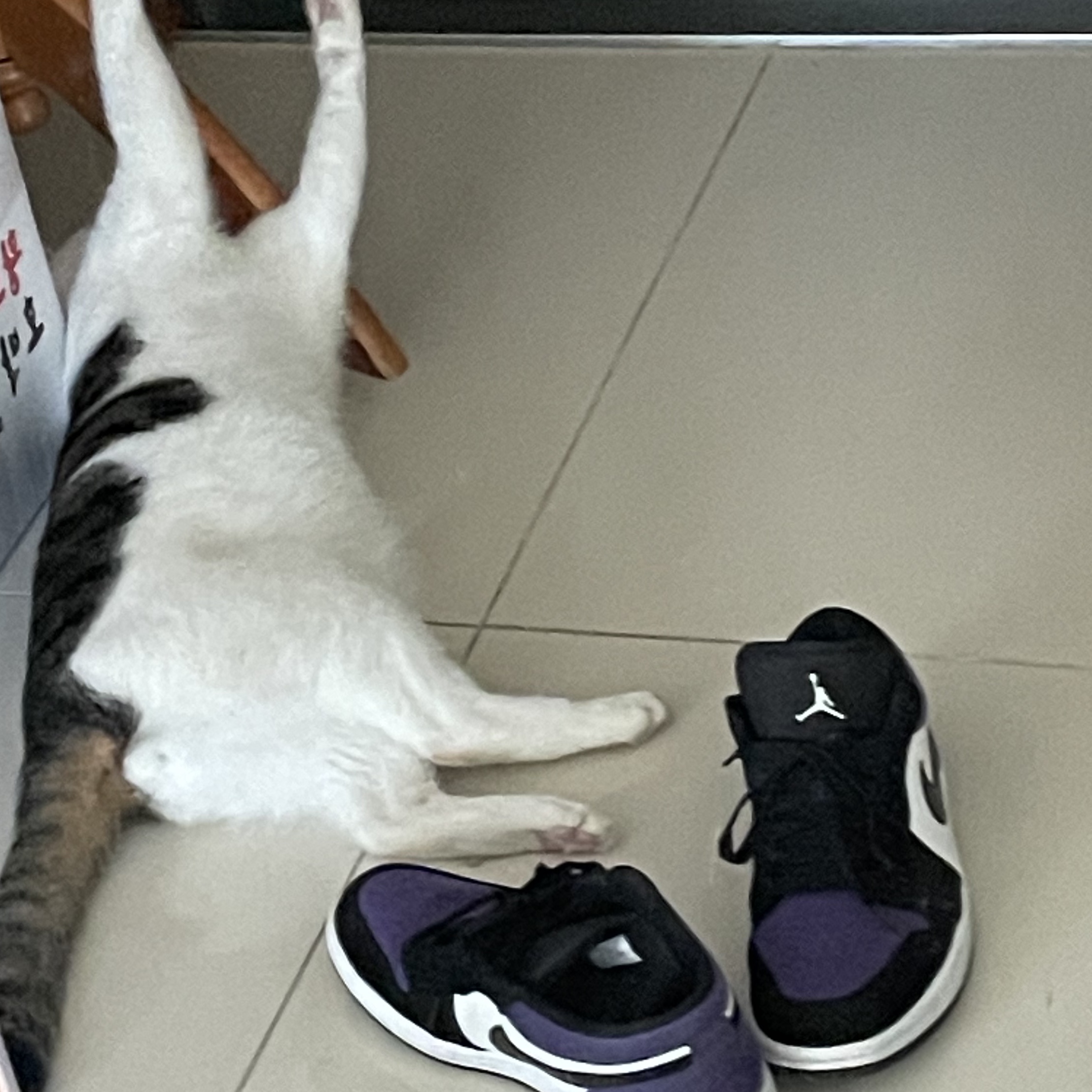 Jordan 1 Low Court Purple 착용 스타일