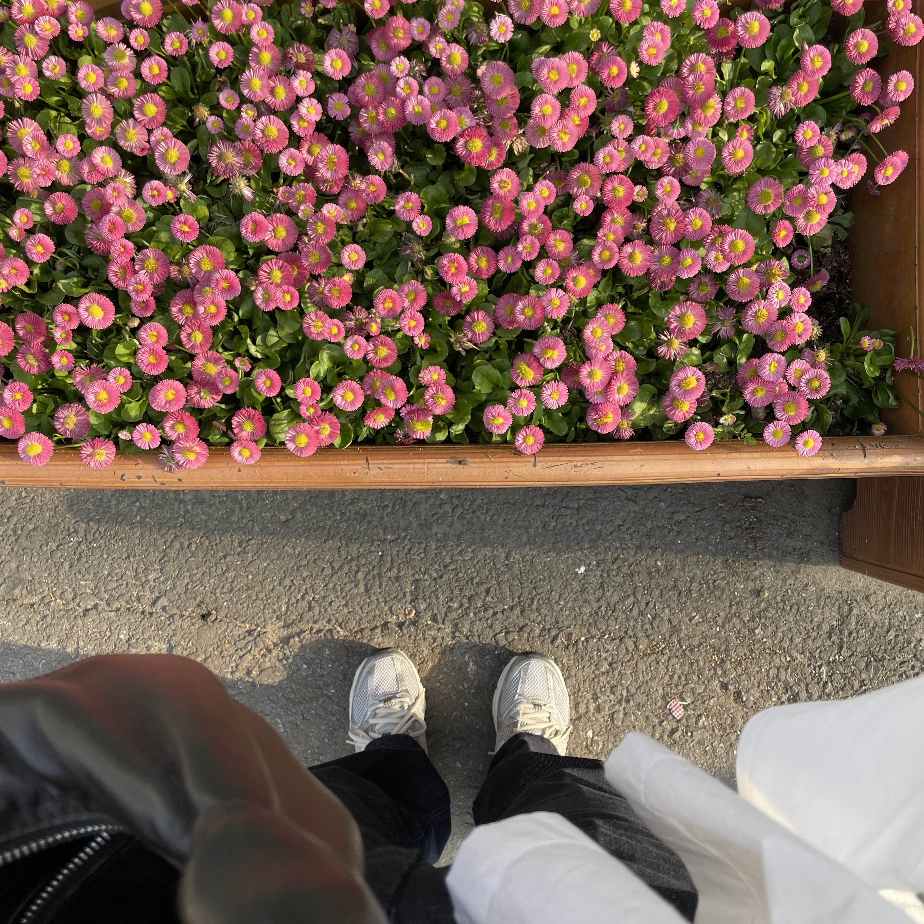 New Balance 530 Earth, Lemaire Small Croissant Bag Soft Nappa Leather Dark Chocolate 착용 스타일