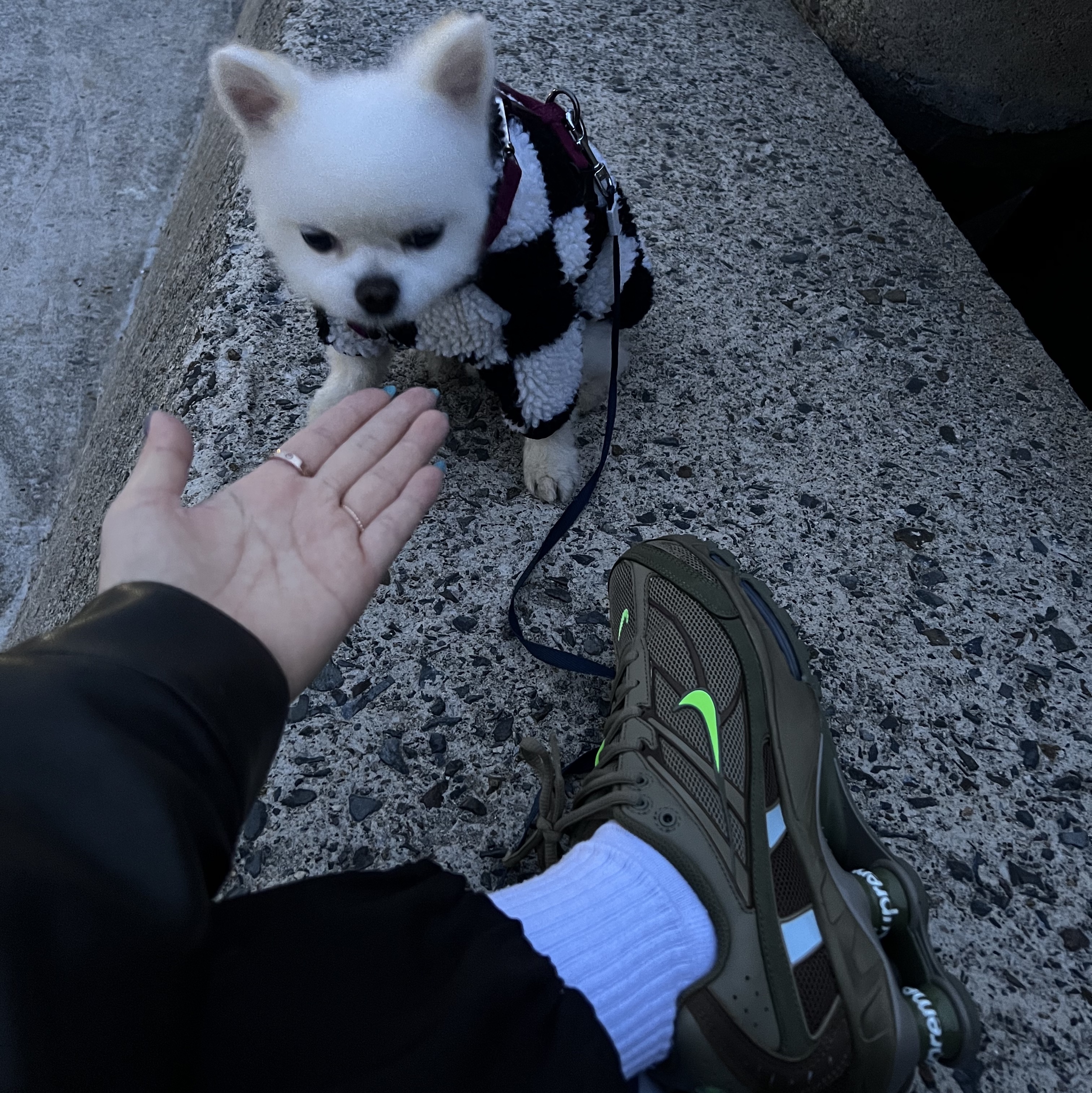 Nike x Supreme Shox Ride 2 SP Neutral Olive 착용 스타일