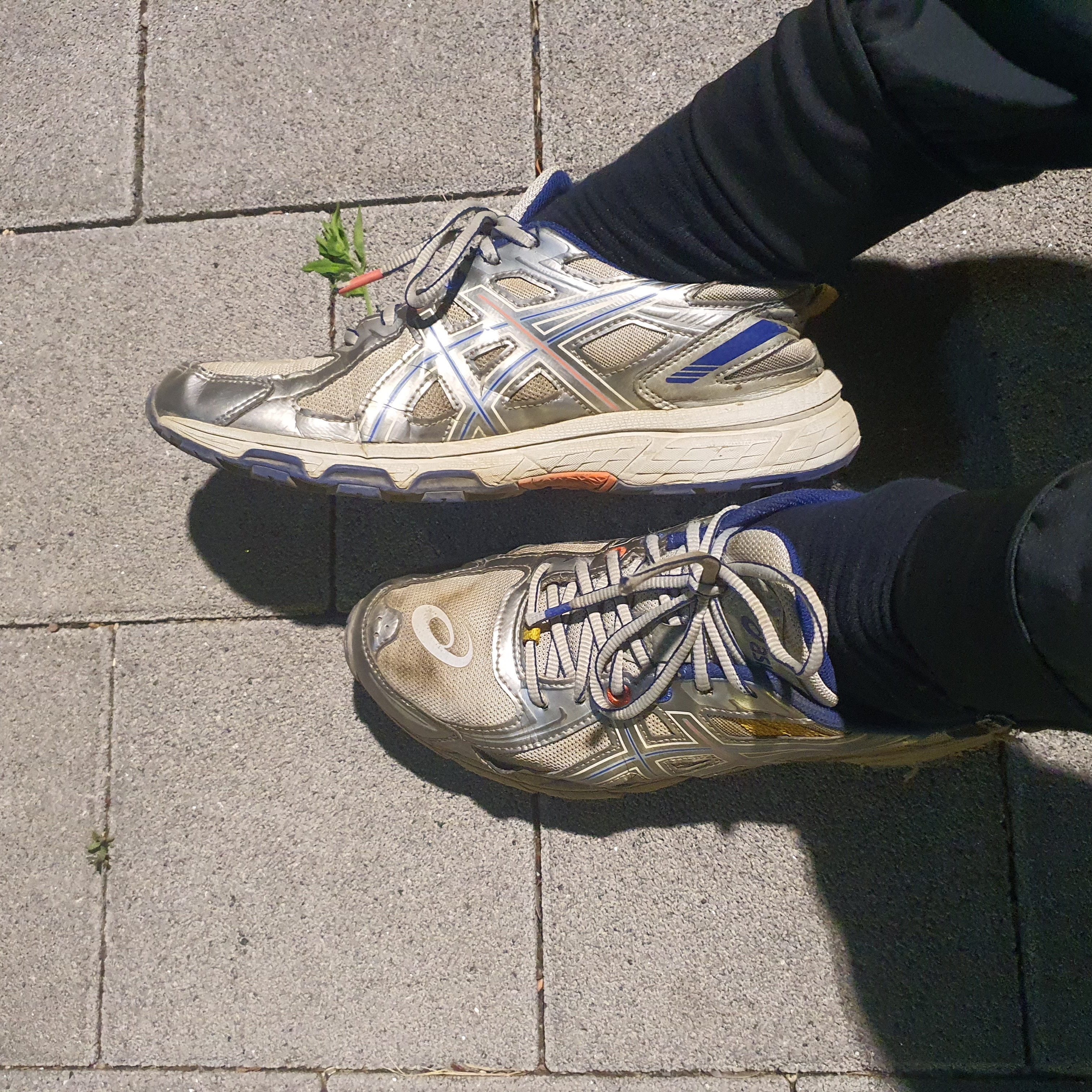 Asics x IAB Studio Gel-Venture 6 착용 스타일