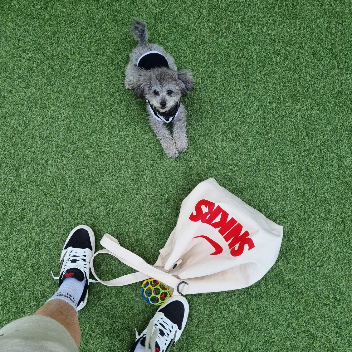 (W) Jordan 1 x Travis Scott Retro Low OG SP Medium Olive, Essentials The Core Collection Sweatshorts Light Oatmeal 착용 스타일