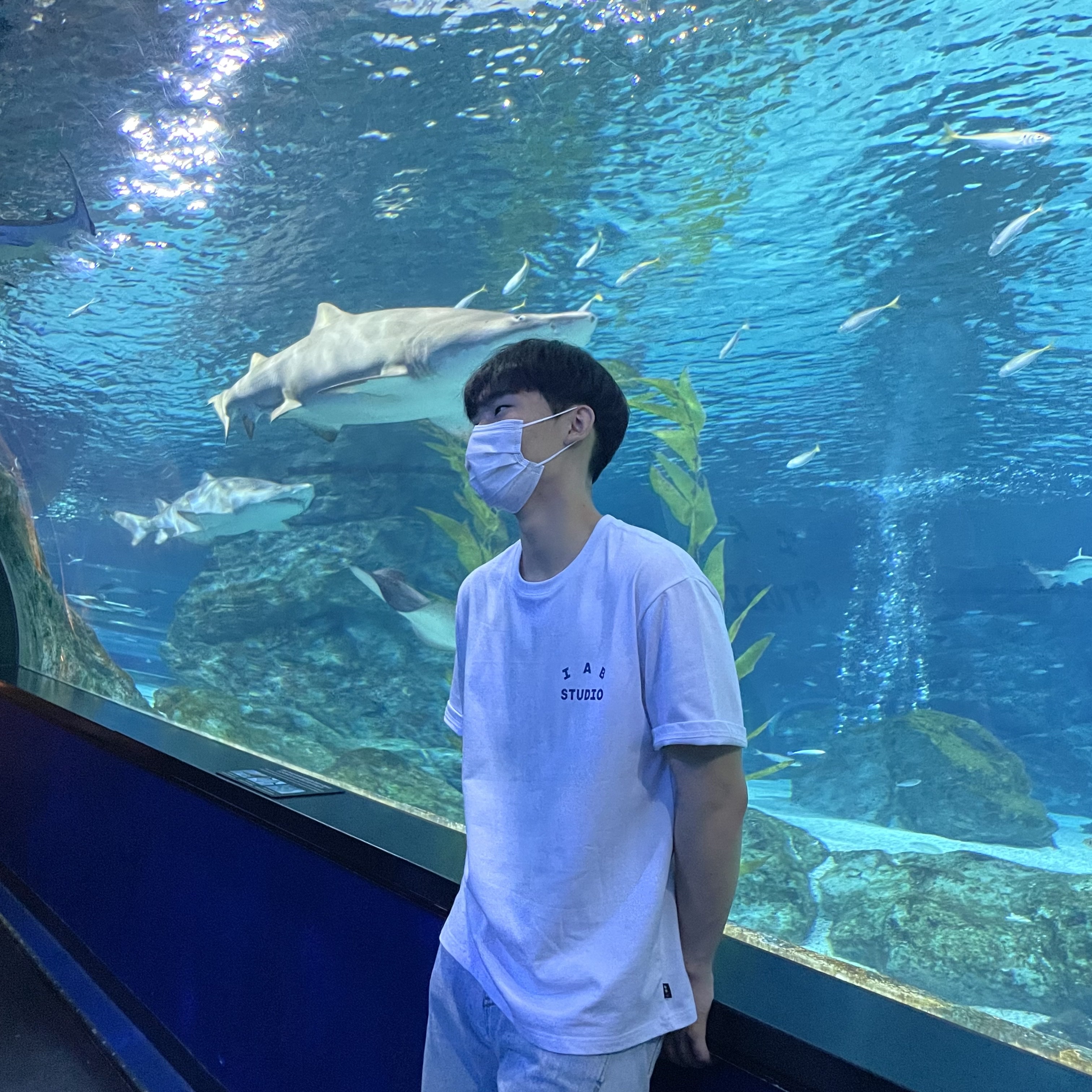 IAB Studio T-Shirt White Navy - 22FW 착용 스타일