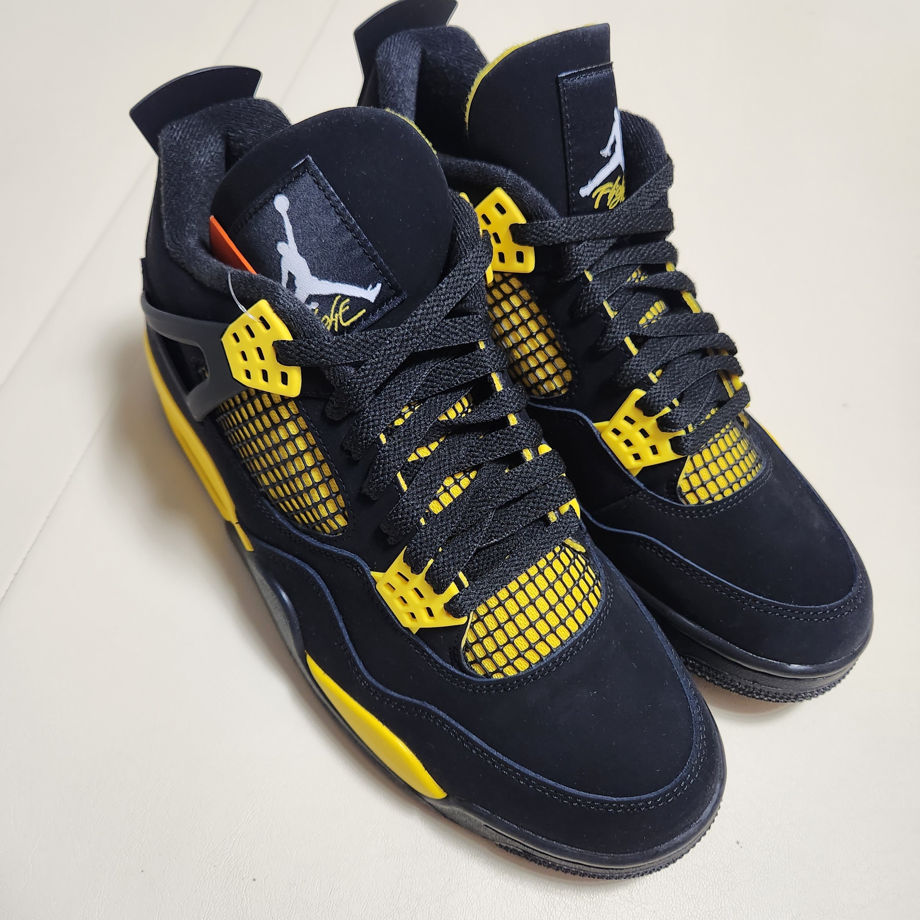 Jordan 4 Retro Thunder 2023, Jordan 4 x Nike SB Retro SP Pine Green 착용 스타일 - 1