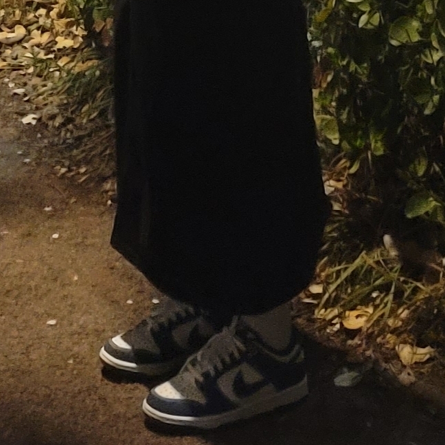 Nike Dunk Low Retro SE Industrial Blue 착용 스타일