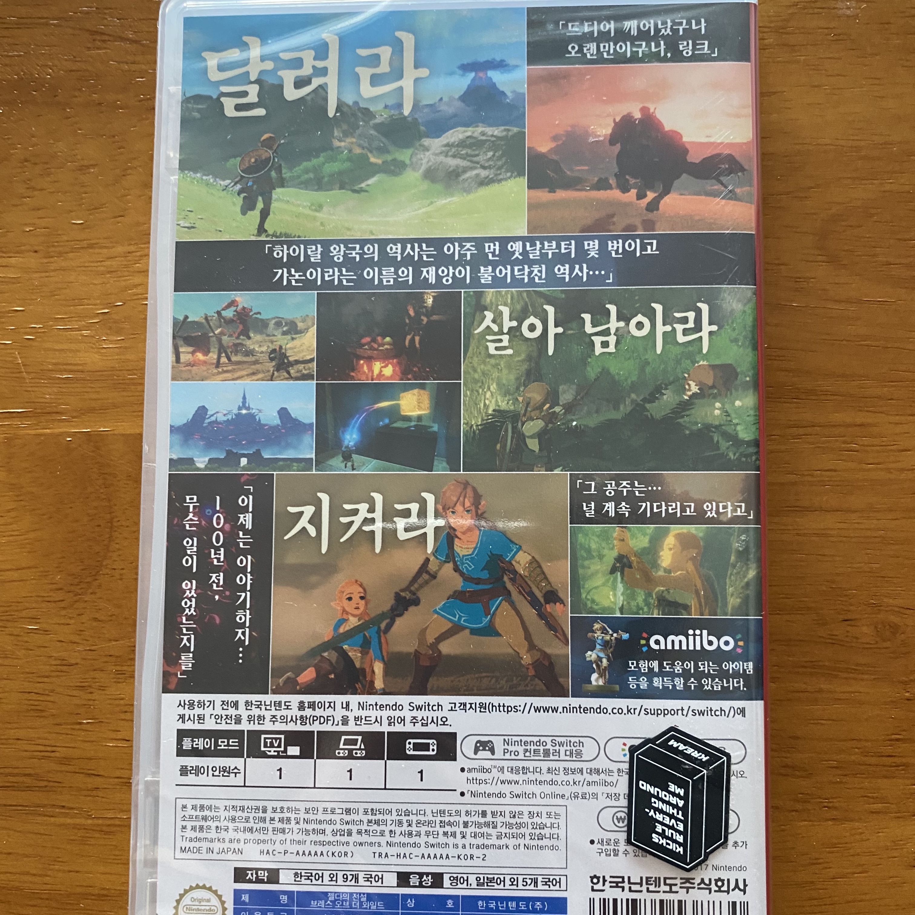 Nintendo Switch The Legend of Zelda Breathe of the Wild (Korean Ver.) 착용 스타일 - 2