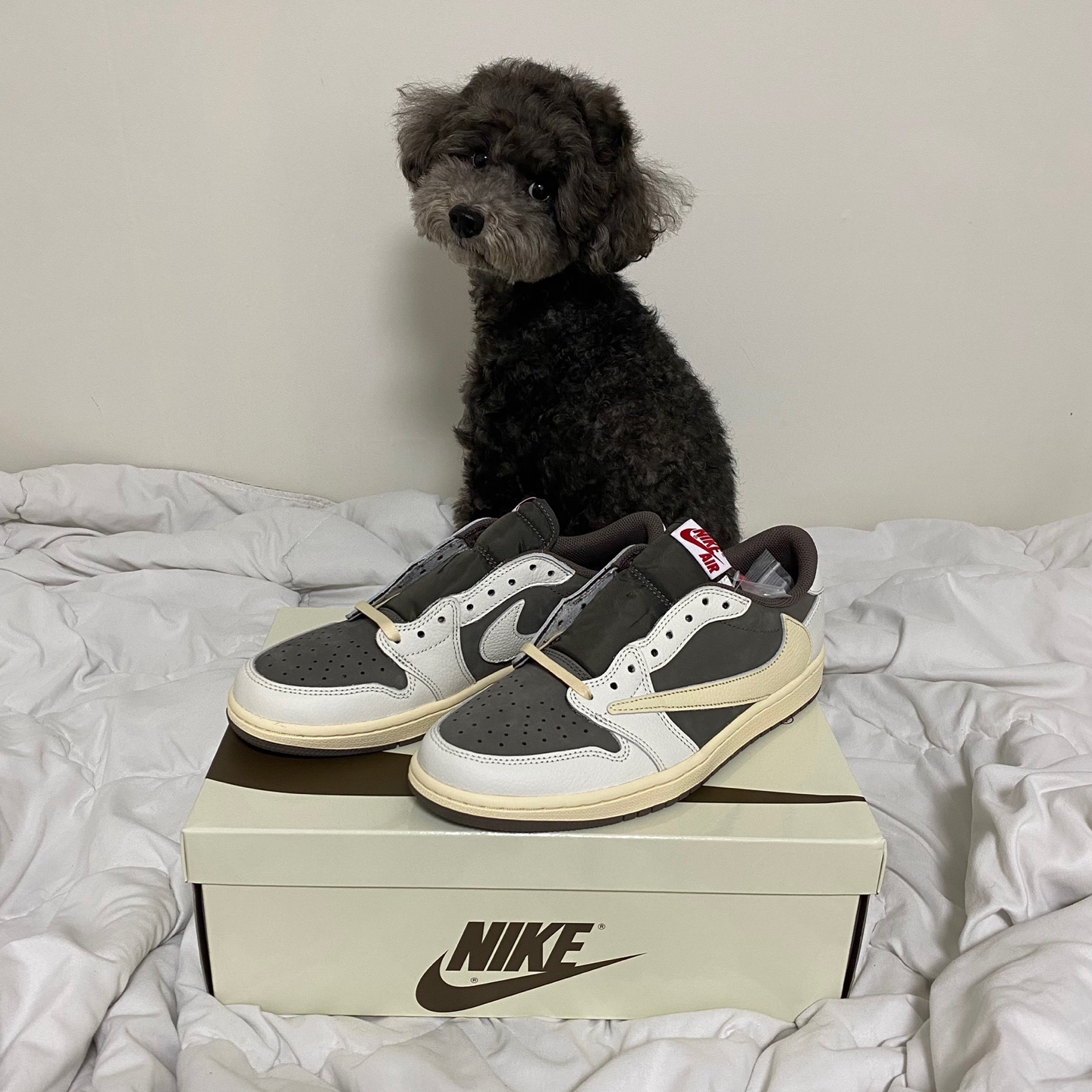 Jordan 1 x Travis Scott Retro Low OG SP Sail and Ridgerock 착용 스타일