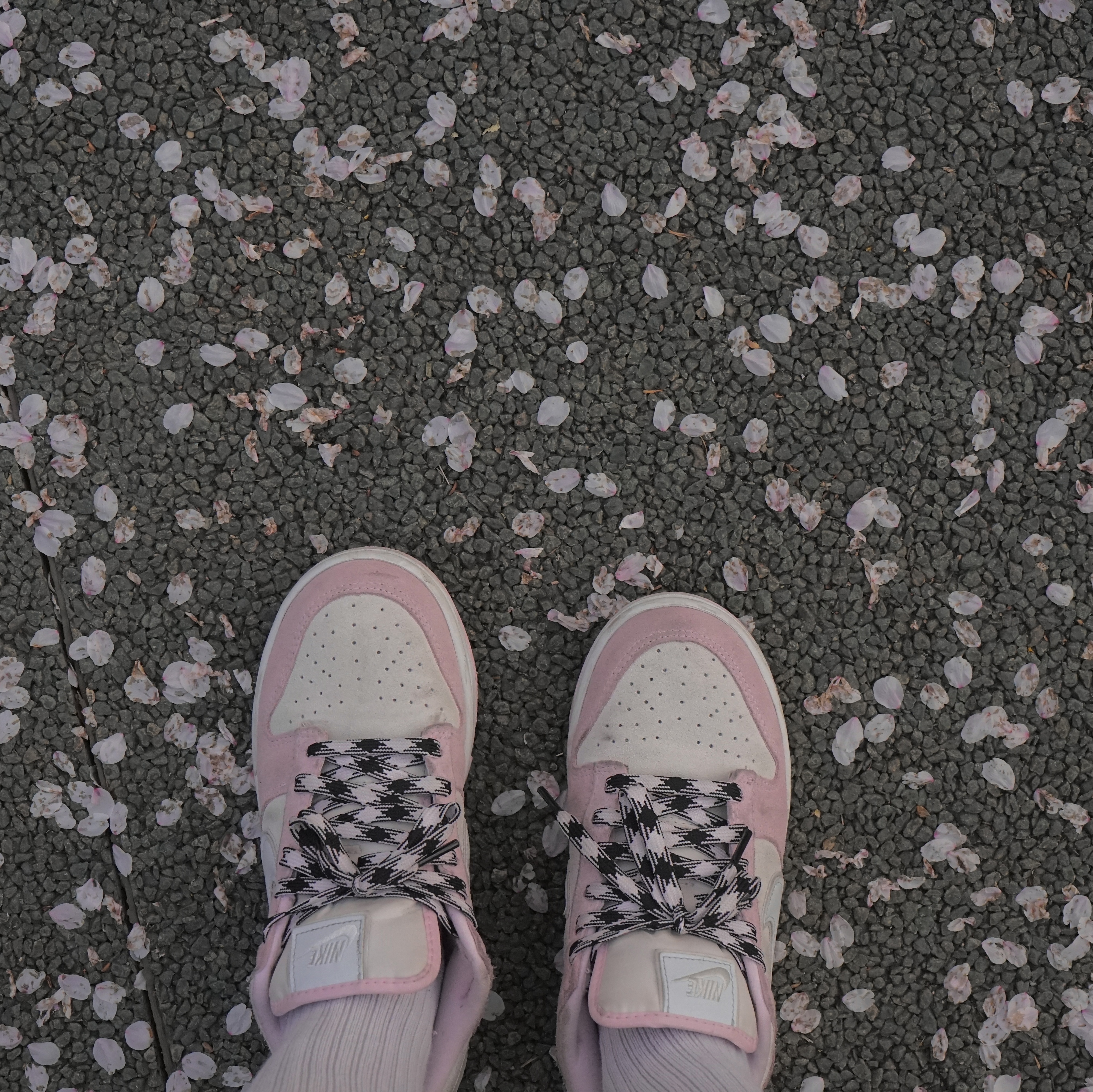 (W) Nike Dunk Low LX Pink Foam 착용 스타일