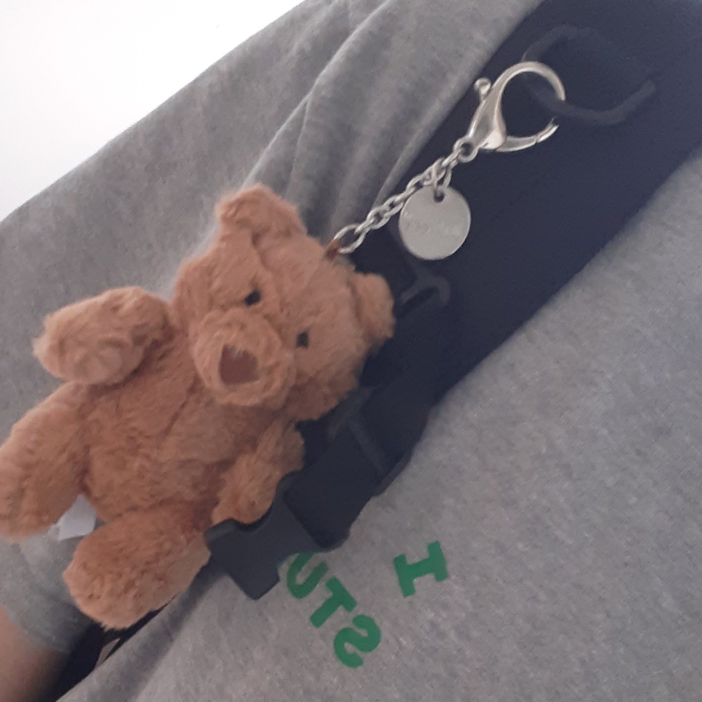Jellycat Bartholomew Bear Bag Charm Brown, IAB Studio T-Shirt Gray Green - 22FW 착용 스타일