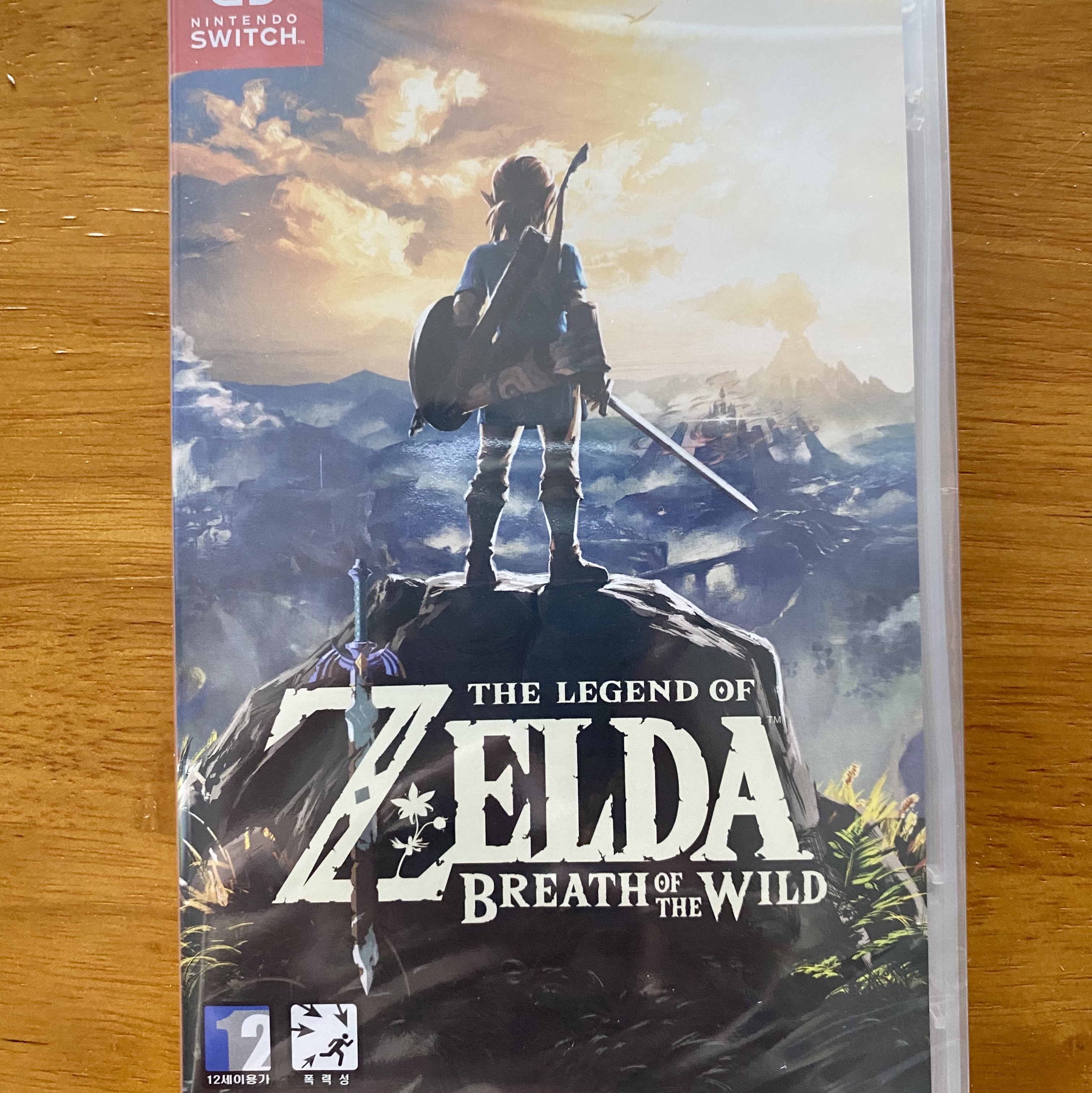 Nintendo Switch The Legend of Zelda Breathe of the Wild (Korean Ver.) 착용 스타일 - 1