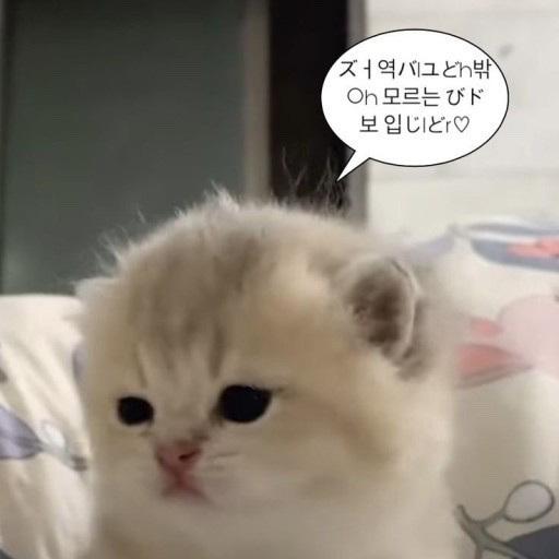 KREAM 프로필 이미지