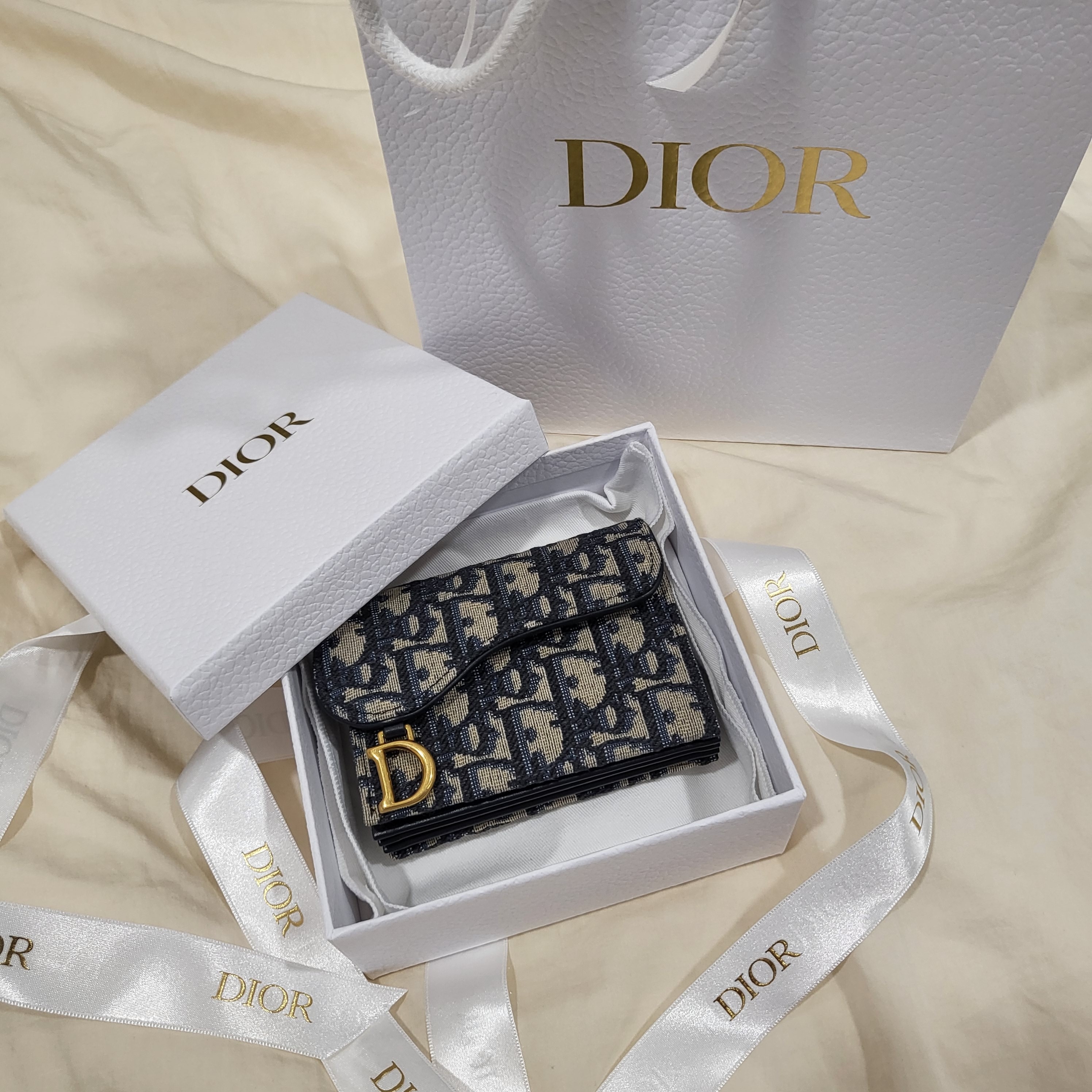 Dior Saddle 5-Gusset Card Holder Blue Dior Oblique Jacquard 착용 스타일