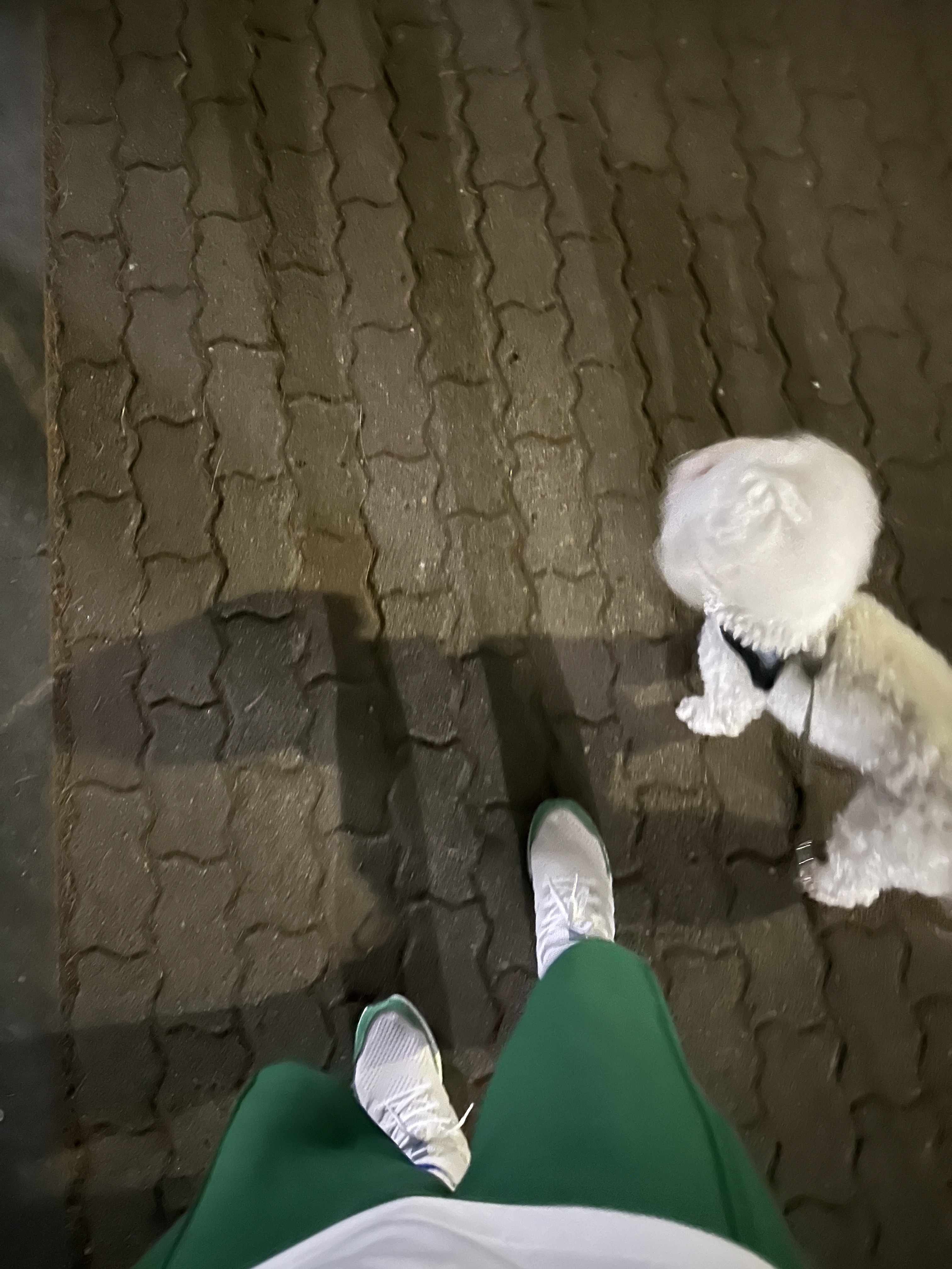 Adidas Ultraboost 1.0 DNA Cloud White Green, Adidas Adizero Prime X Linen Green 착용 스타일 - 2