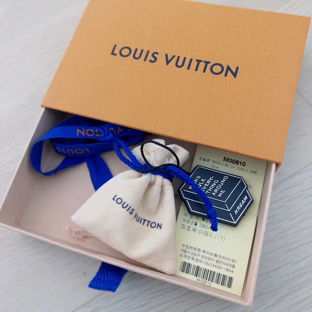 (W) Louis Vuitton LV Iconic Earrings Gold 착용 스타일 - 2