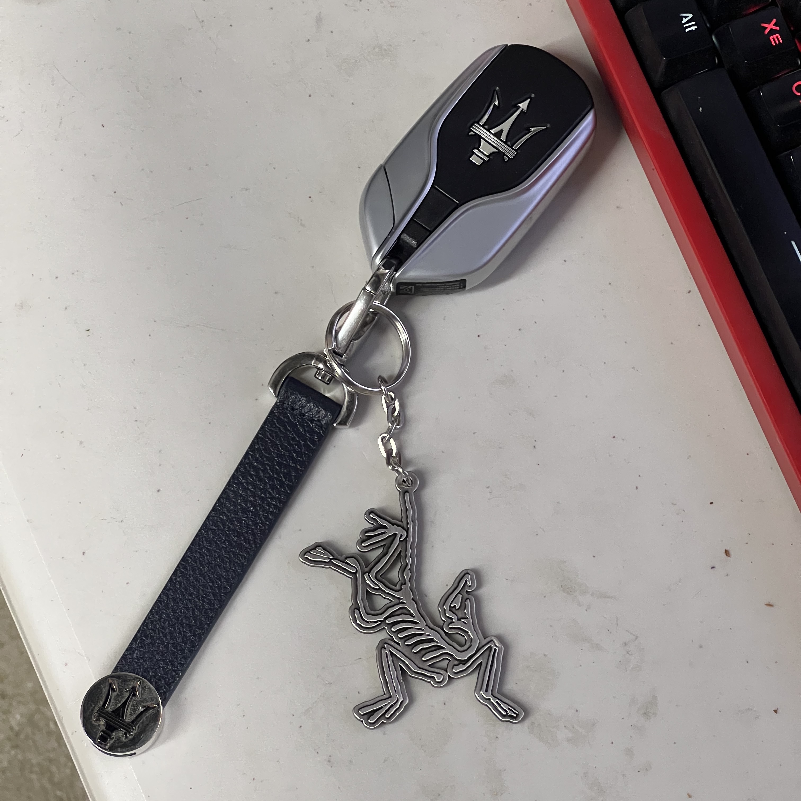 Arc'teryx Keyring Metal 착용 스타일
