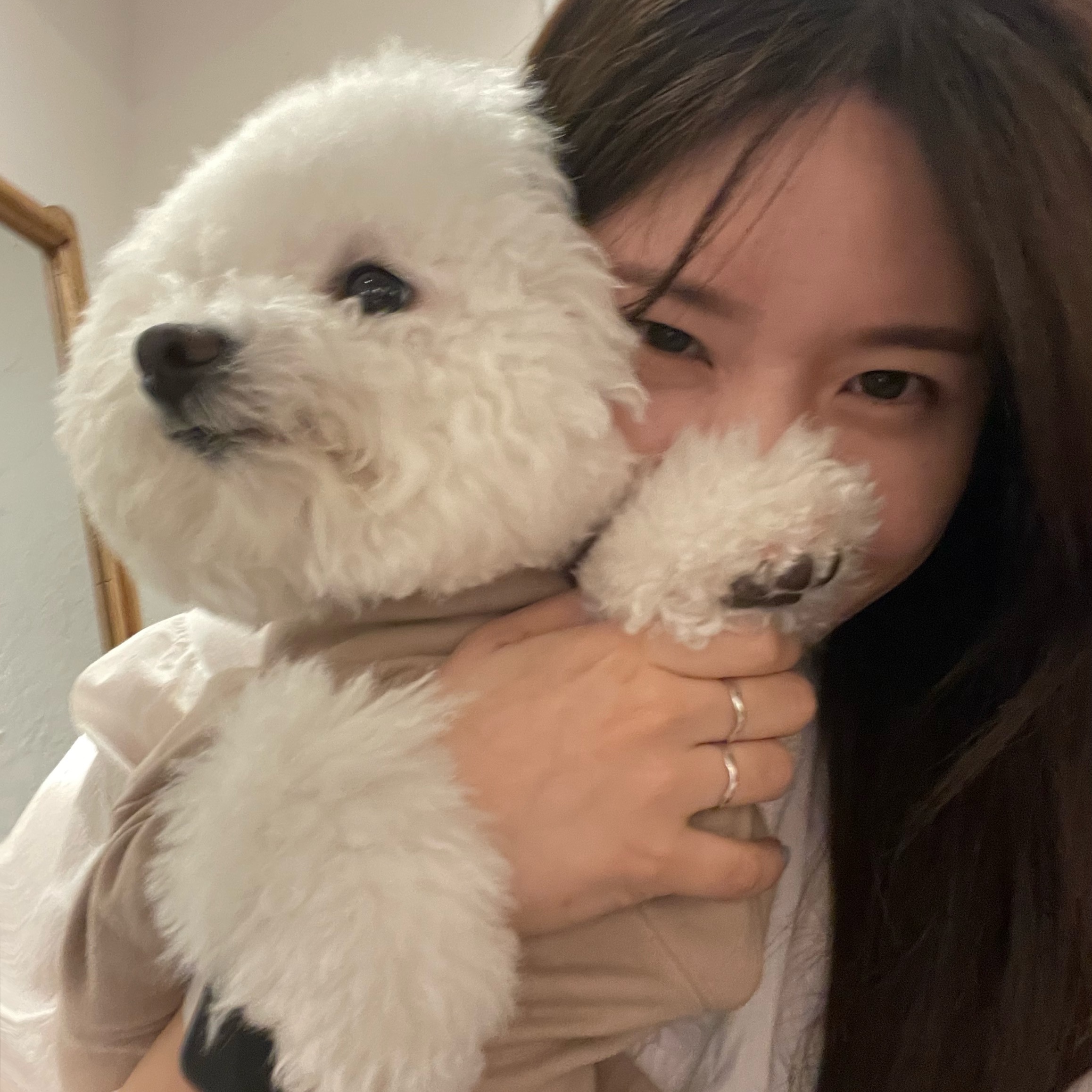 실버컴퍼니님의 스타일