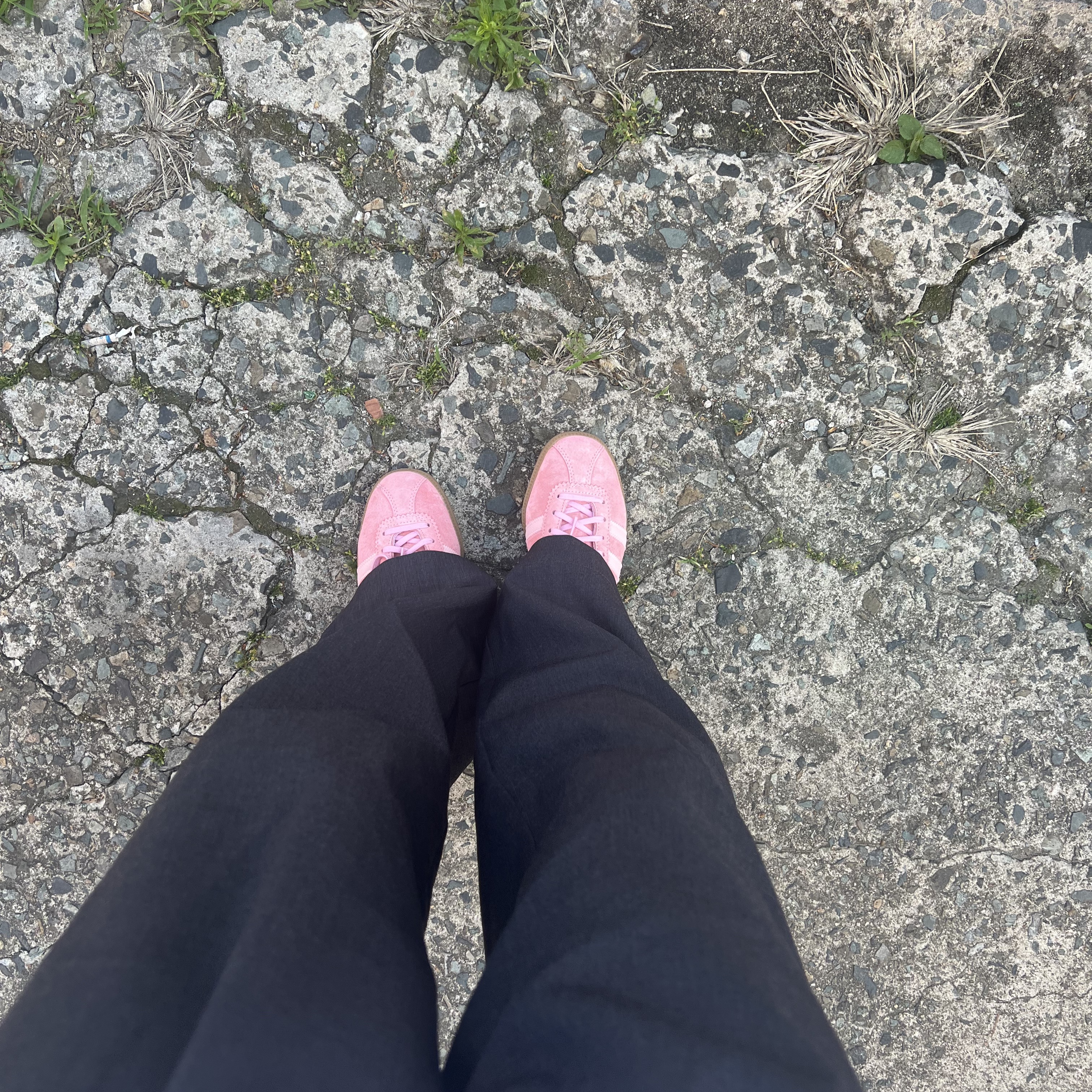 Adidas Bermuda Glow Pink 착용 스타일