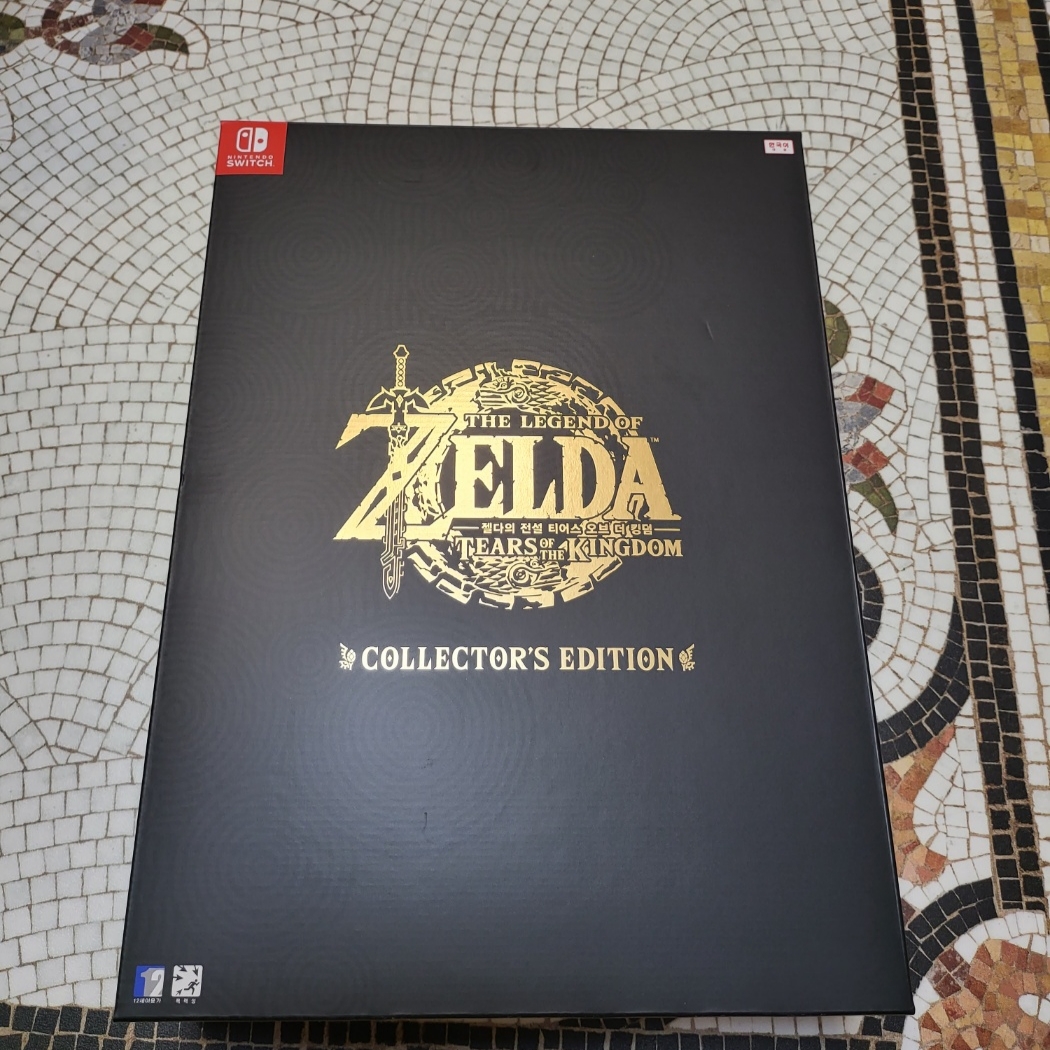 Nintendo Switch The Legend of Zelda Tears of The Kingdom - Collector's Edition (With Title/Korean Ver.) 착용 스타일