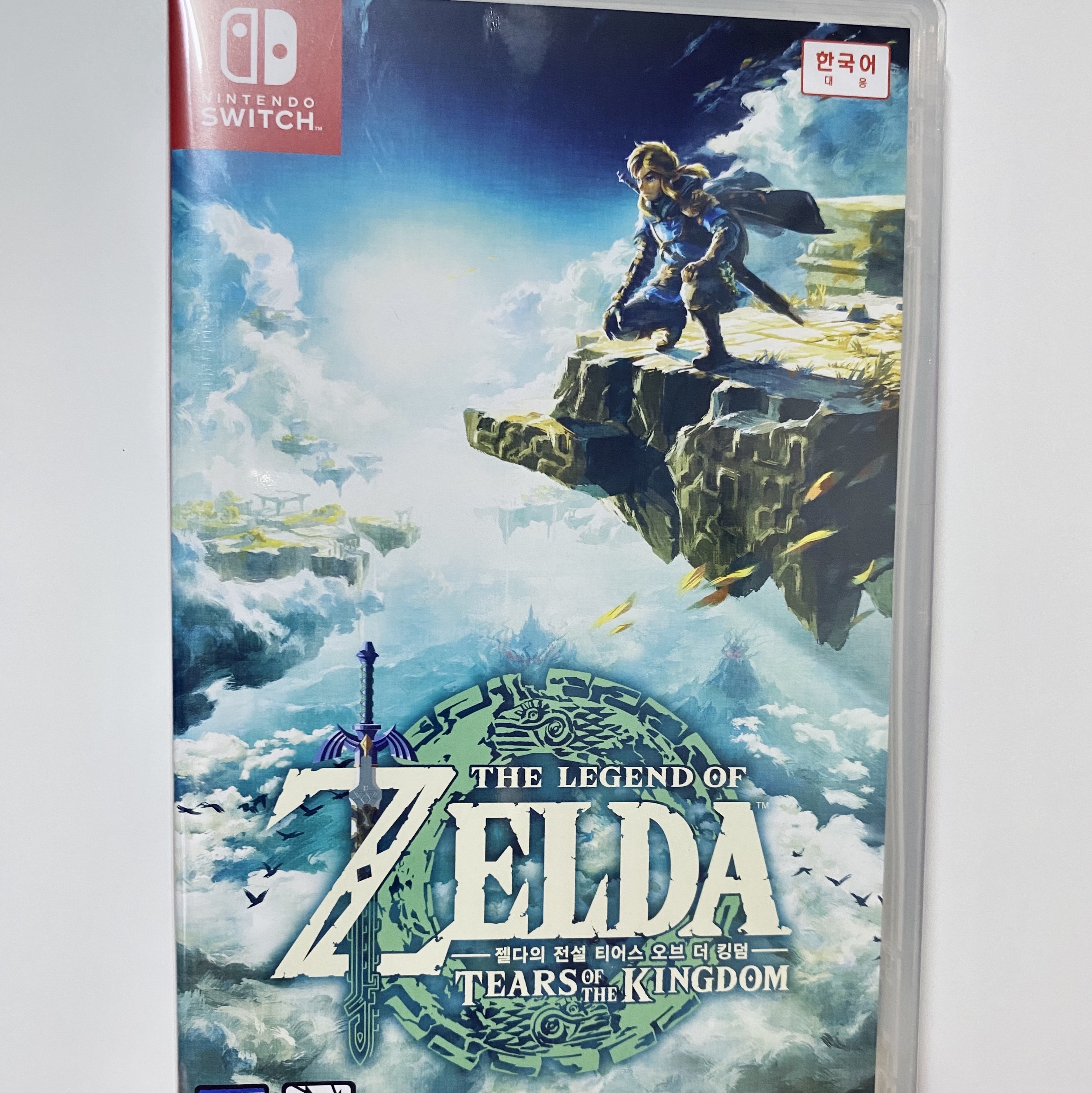Nintendo Switch The Legend of Zelda Tears of The Kingdom (Korean Ver.) 착용 스타일