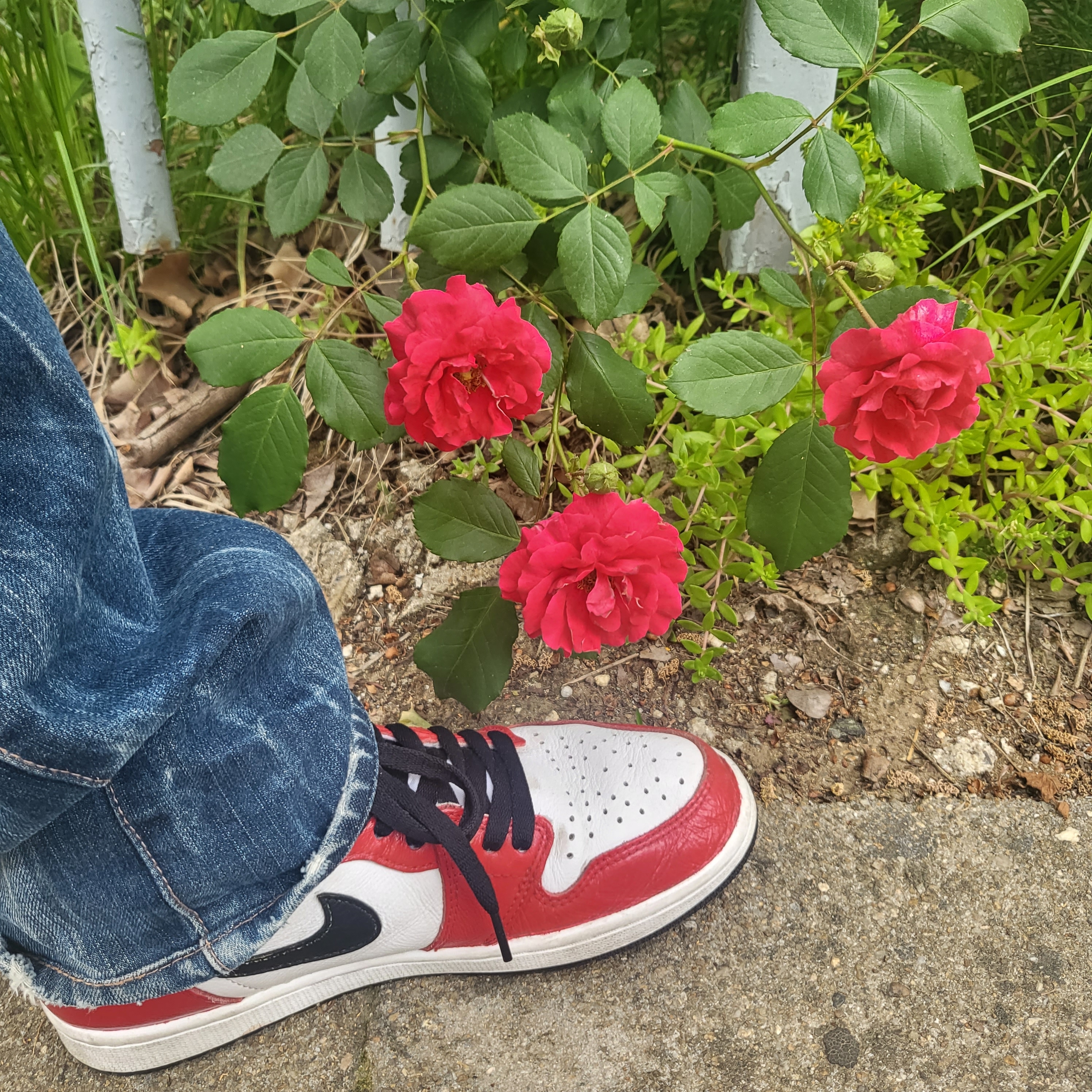Supreme Military Camp Cap Stone - 22SS, Jordan 1 Retro High OG Light Fusion Red 착용 스타일 - 2