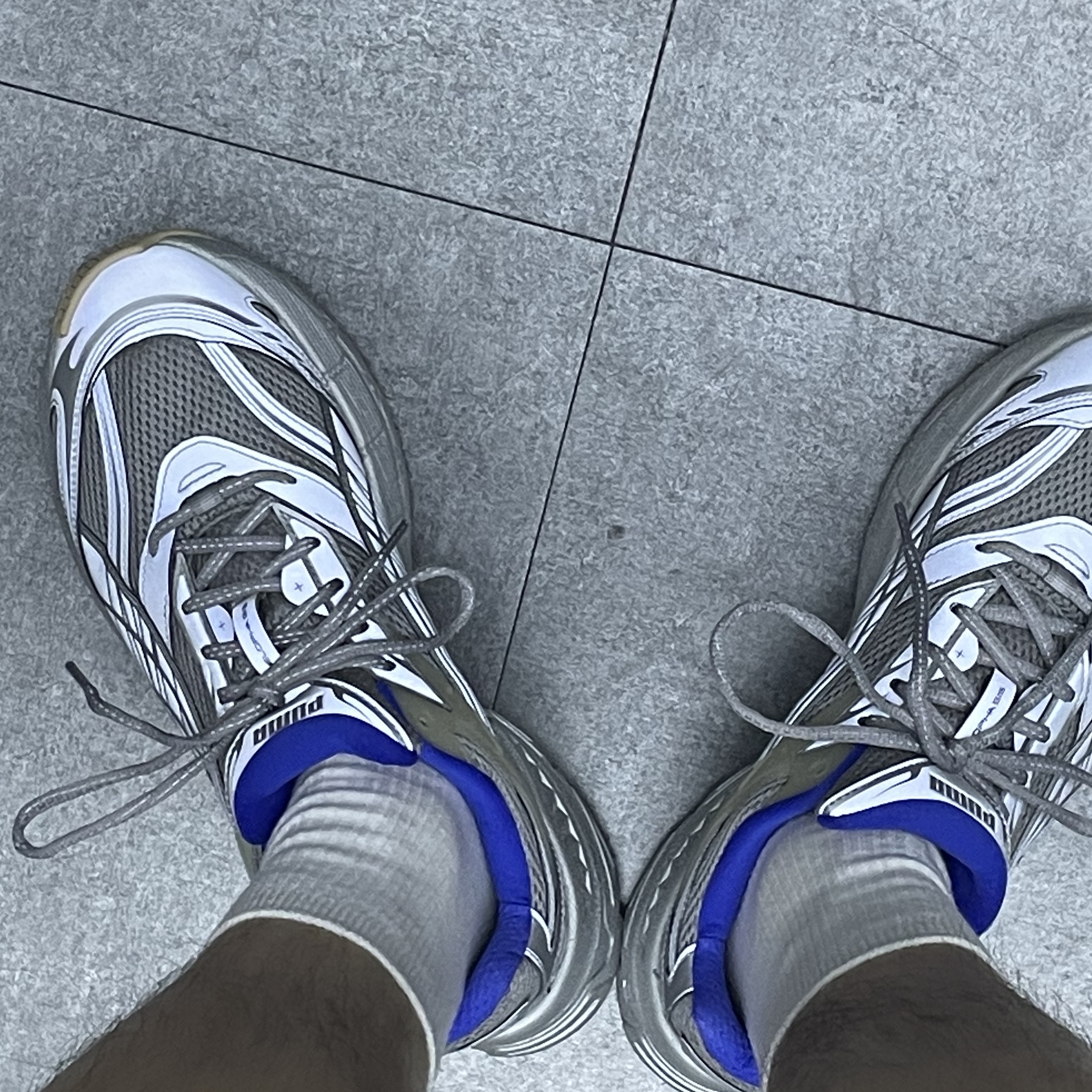 Puma Velophasis Matte Silver Royal Sapphire 착용 스타일