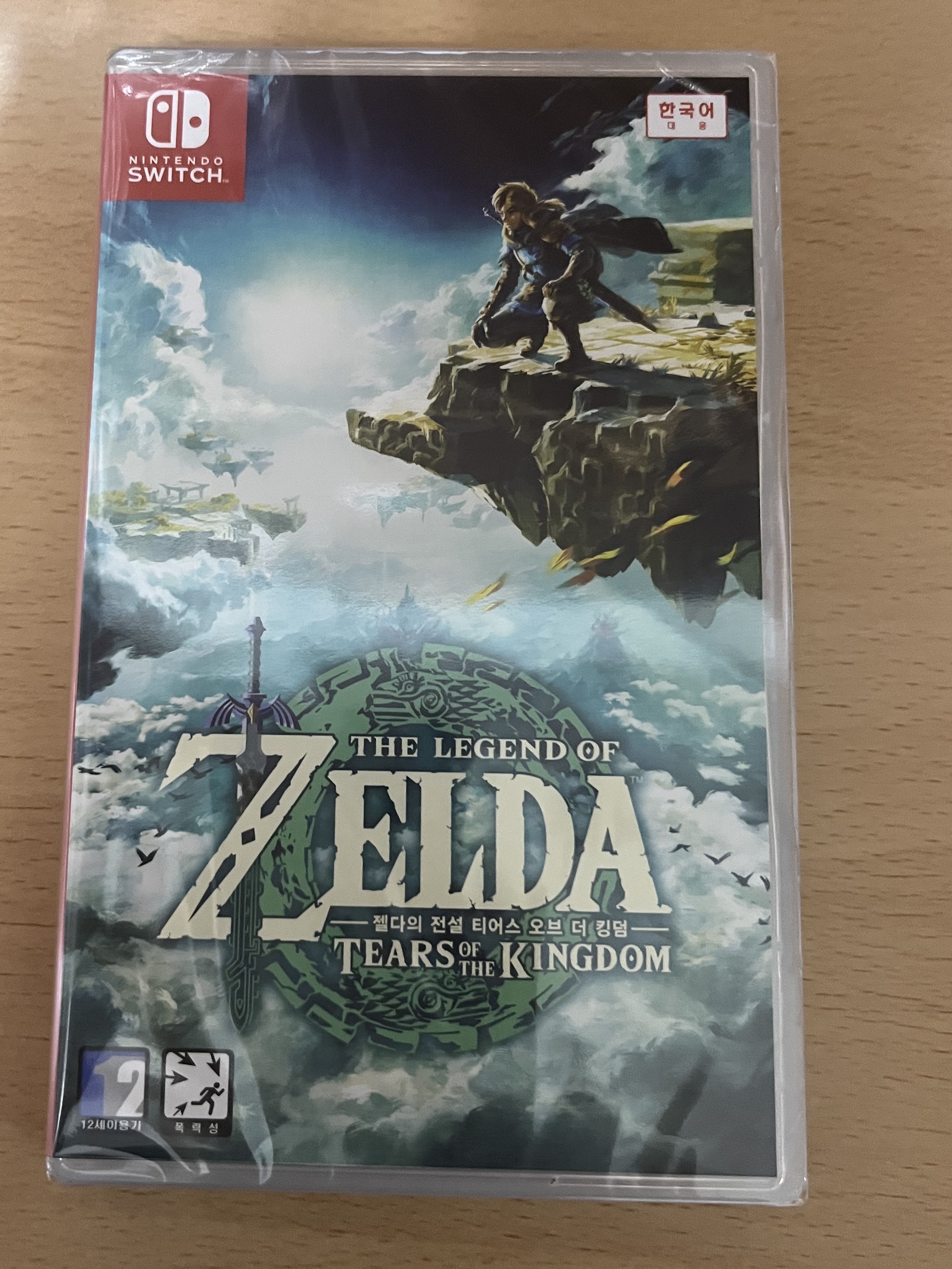 Nintendo Switch The Legend of Zelda Tears of The Kingdom (Korean Ver.) 착용 스타일