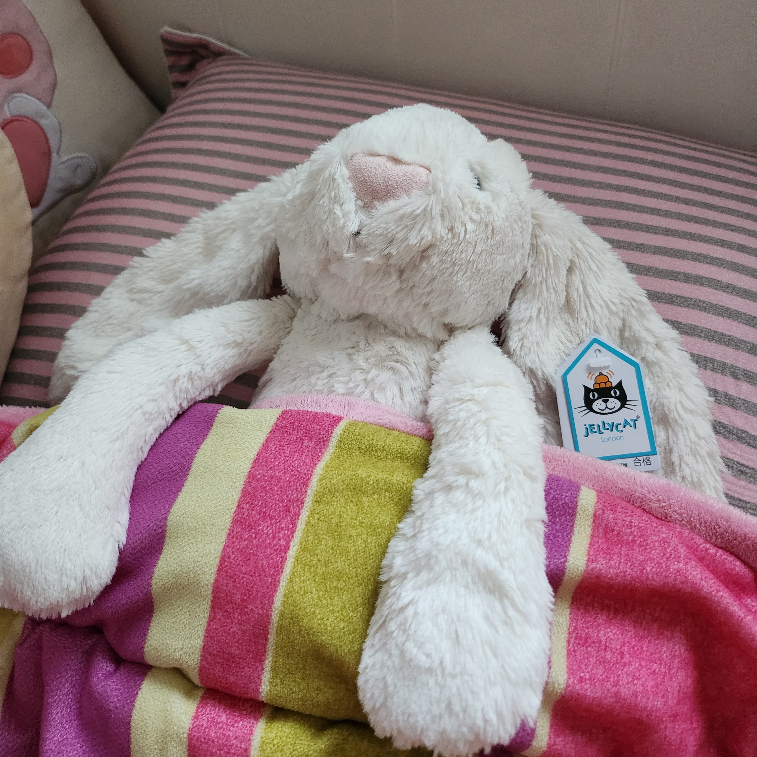 Jellycat Bashful Bunny Large Cream 착용 스타일 - 4