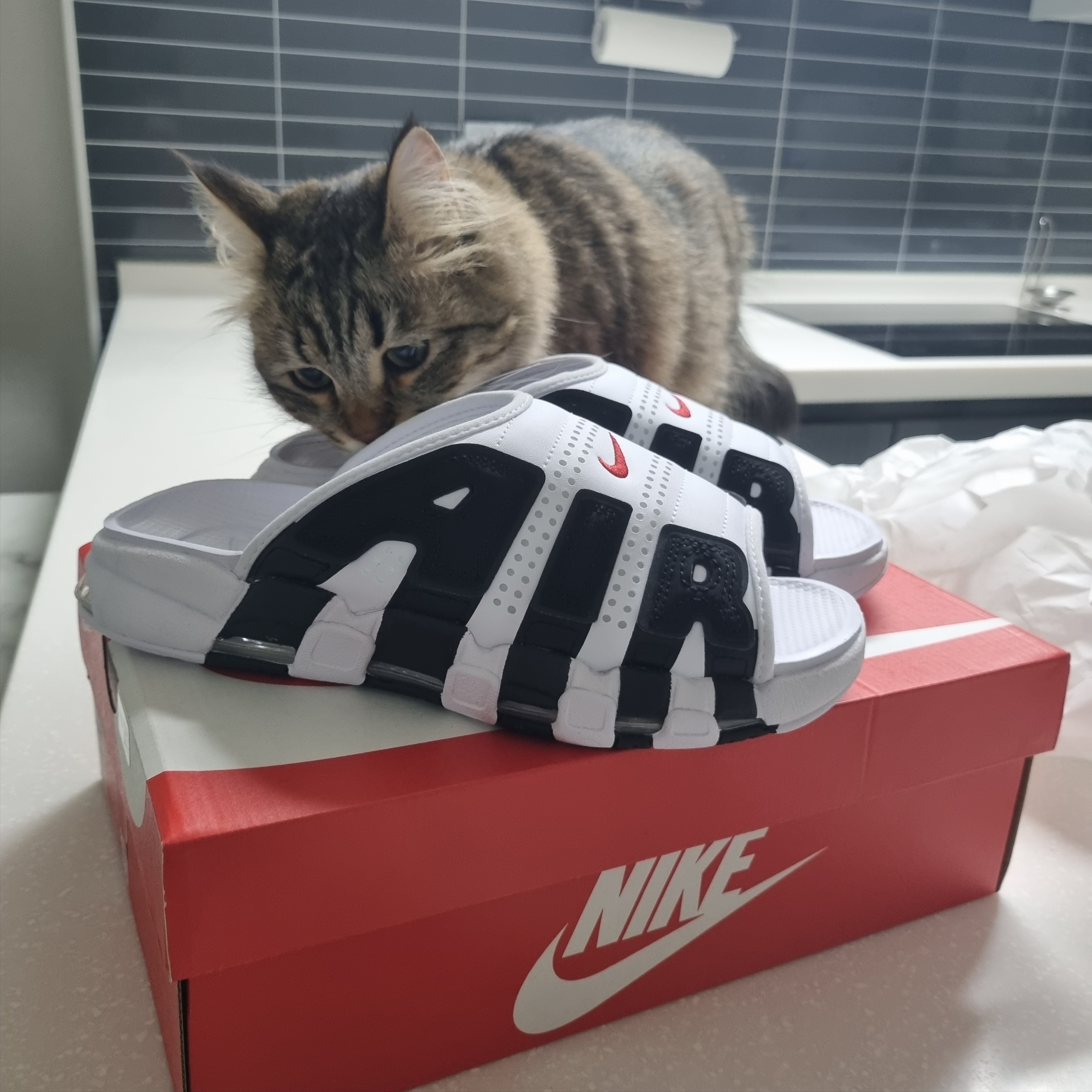 Nike Air More Uptempo Slide White Black 착용 스타일 - 2