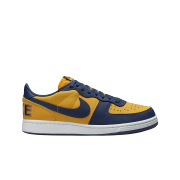 Nike Terminator Low University Gold and Navy