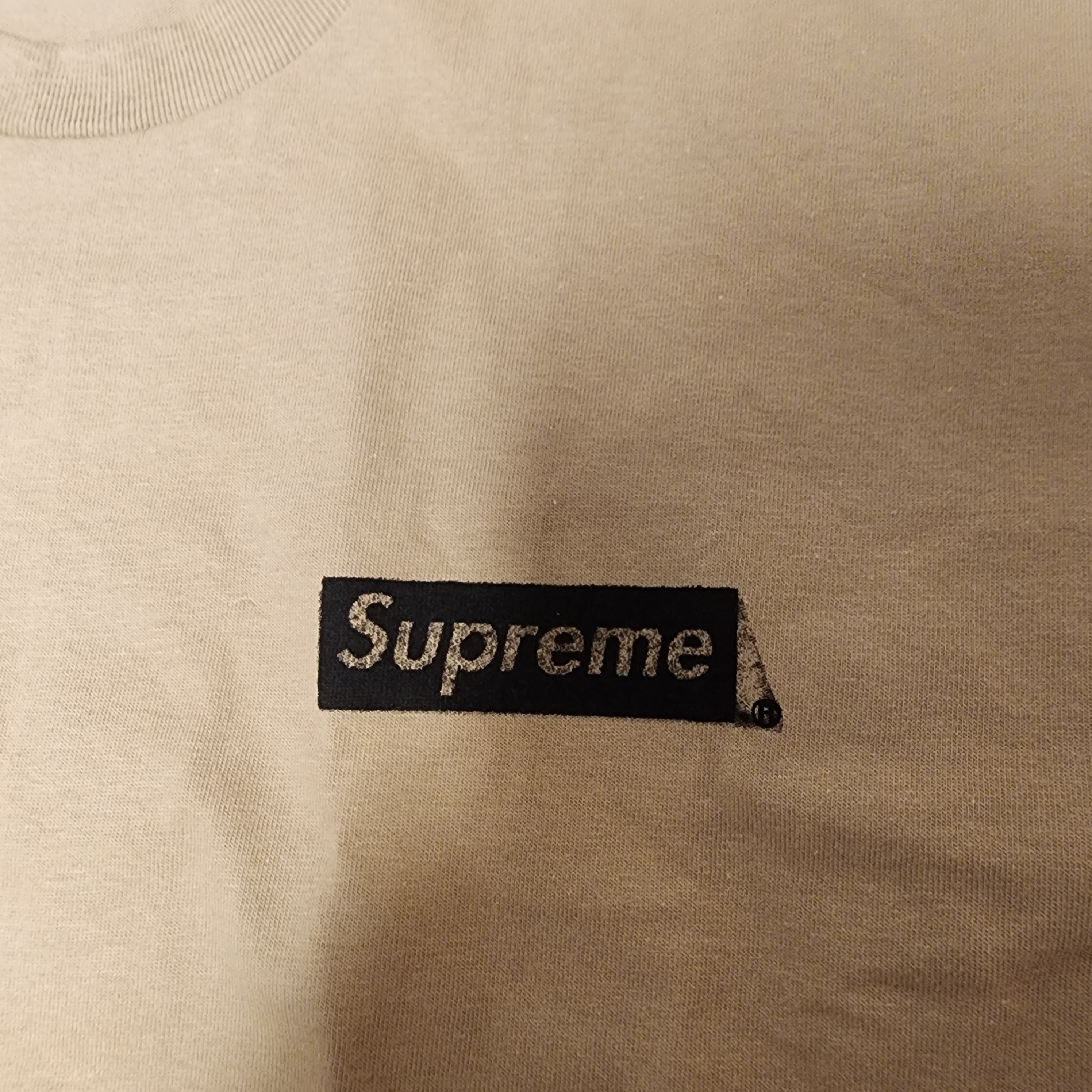 Supreme Body Snatchers T-Shirt Khaki - 23SS 착용 스타일 - 3