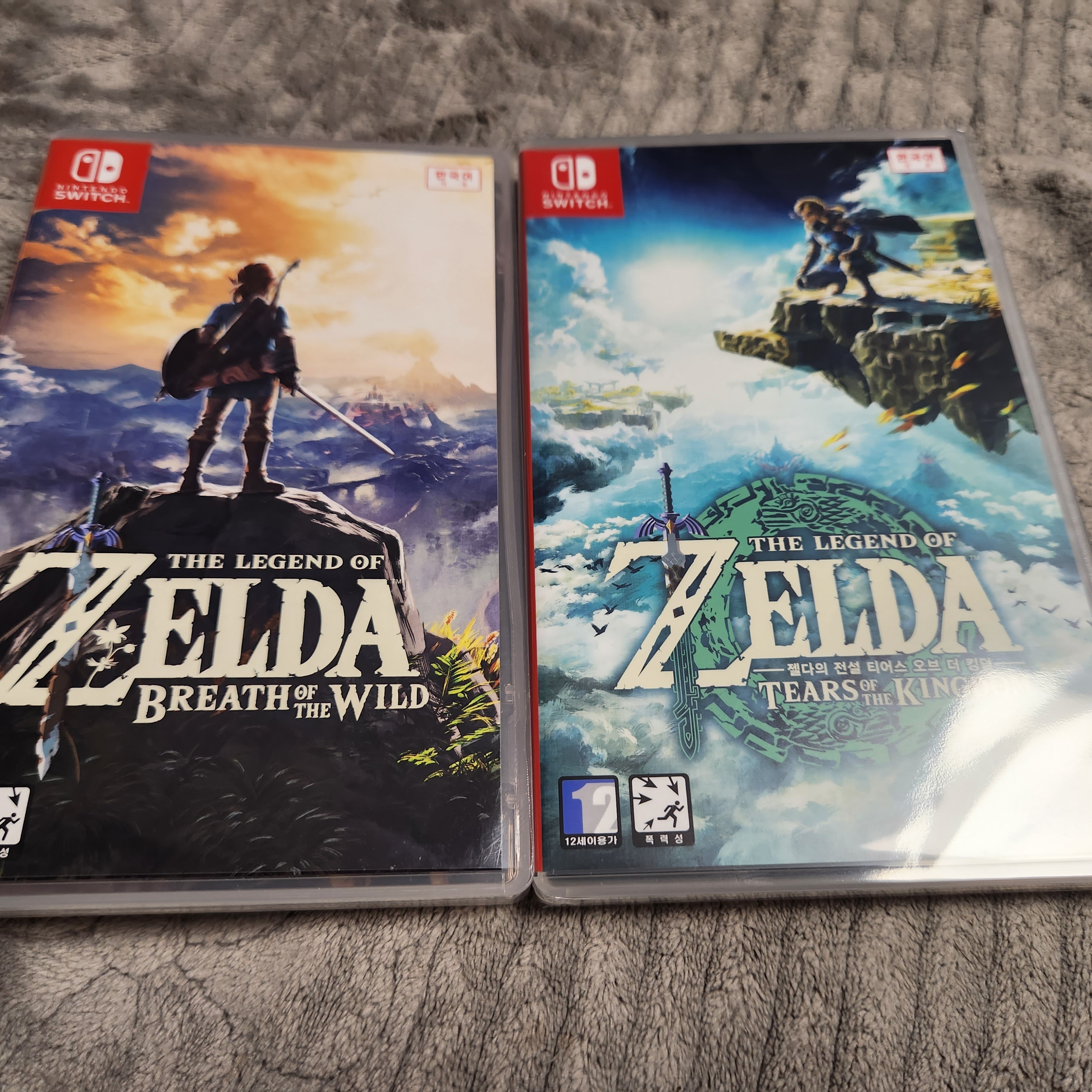 Nintendo Switch The Legend of Zelda Tears of The Kingdom (Korean Ver.) 착용 스타일