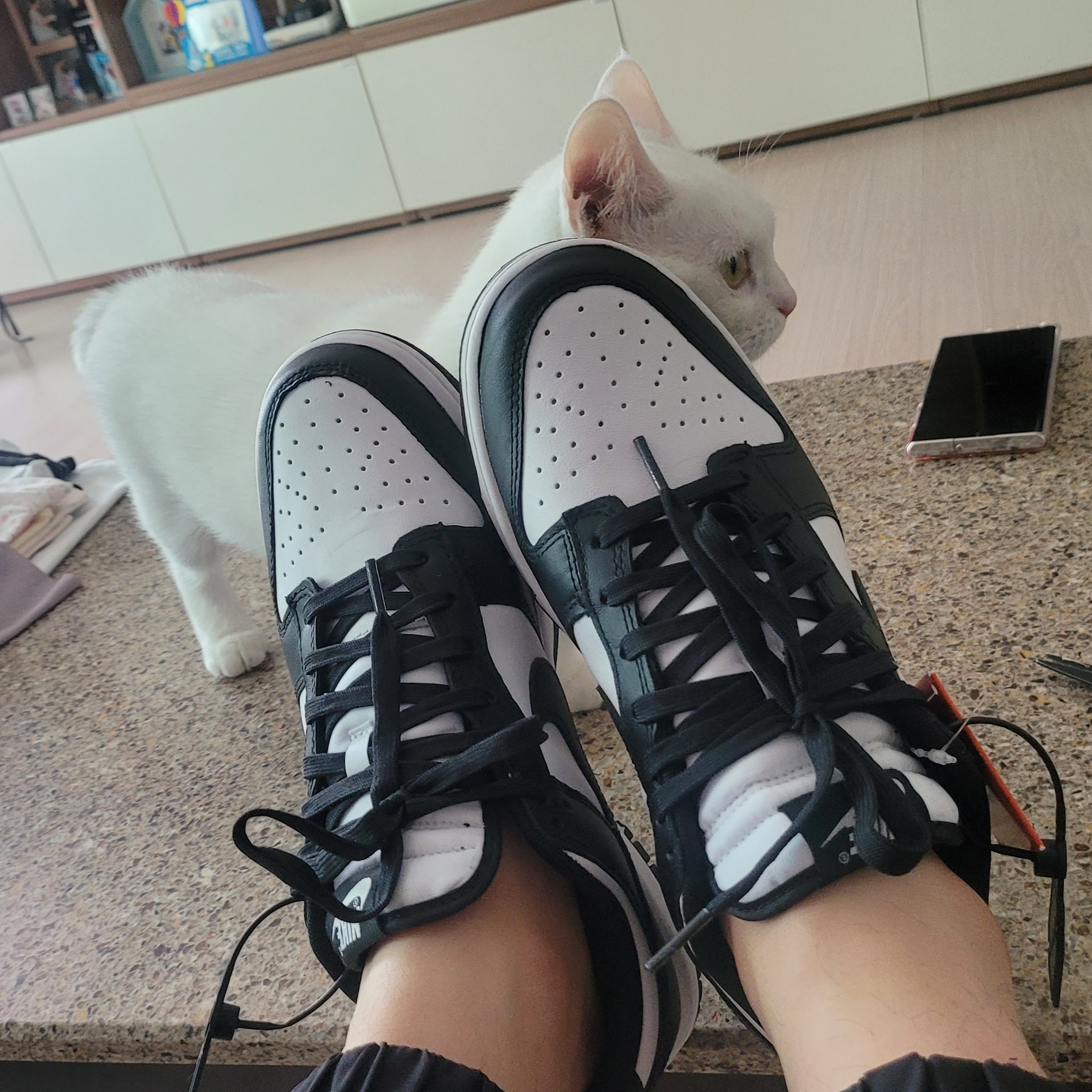Nike Dunk Low Retro Black 착용 스타일