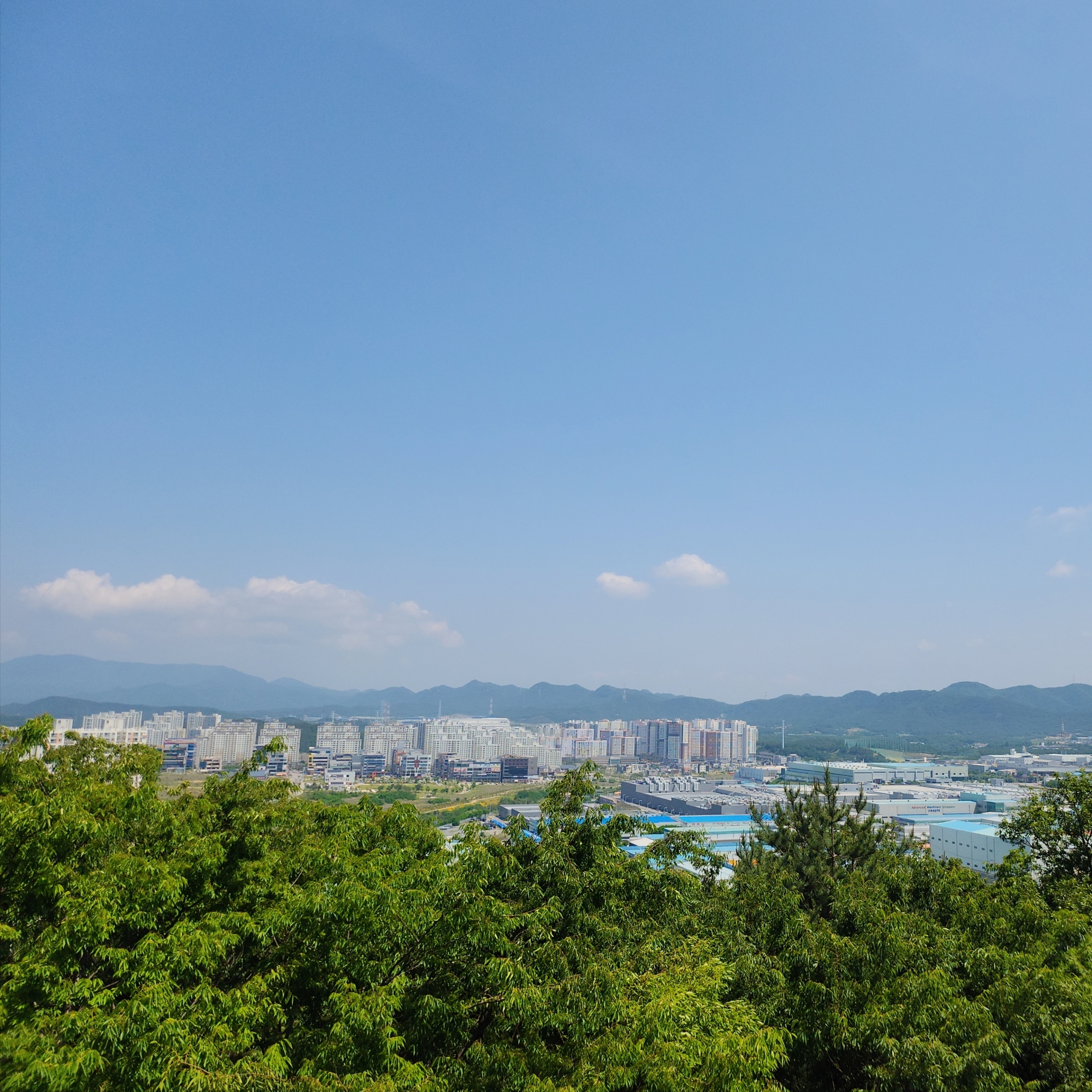 살로몬 XT-4 토바코 브라운 착용 스타일 - 5