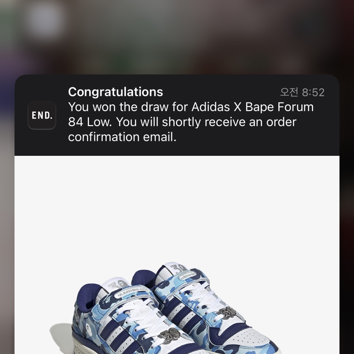 Adidas x BAPE Forum 84 Low Blue Camo 착용 스타일 - 2