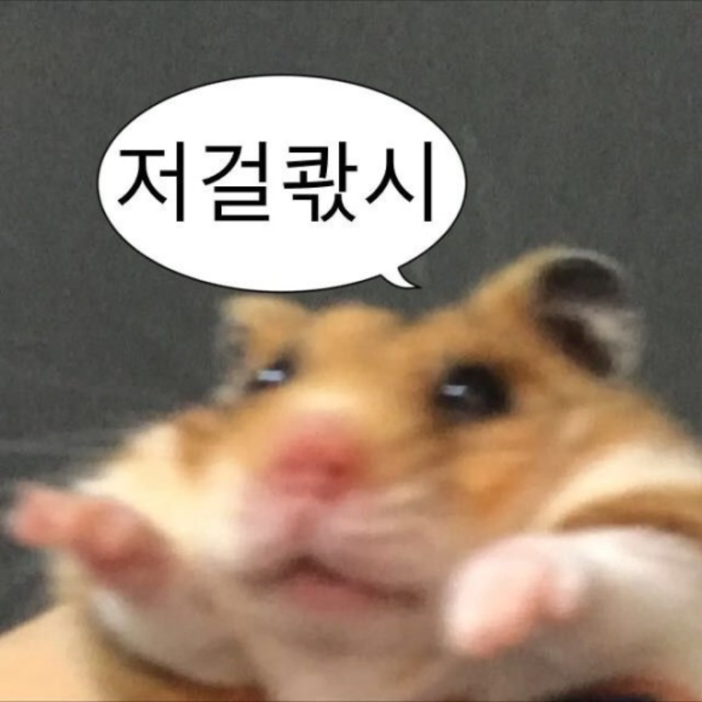 관심 유저 프로필 이미지