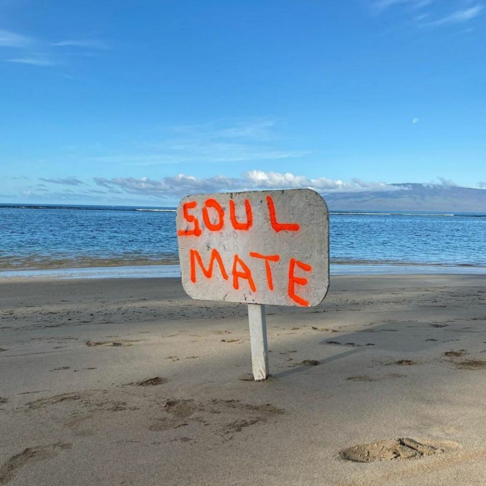 관심 유저 프로필 이미지