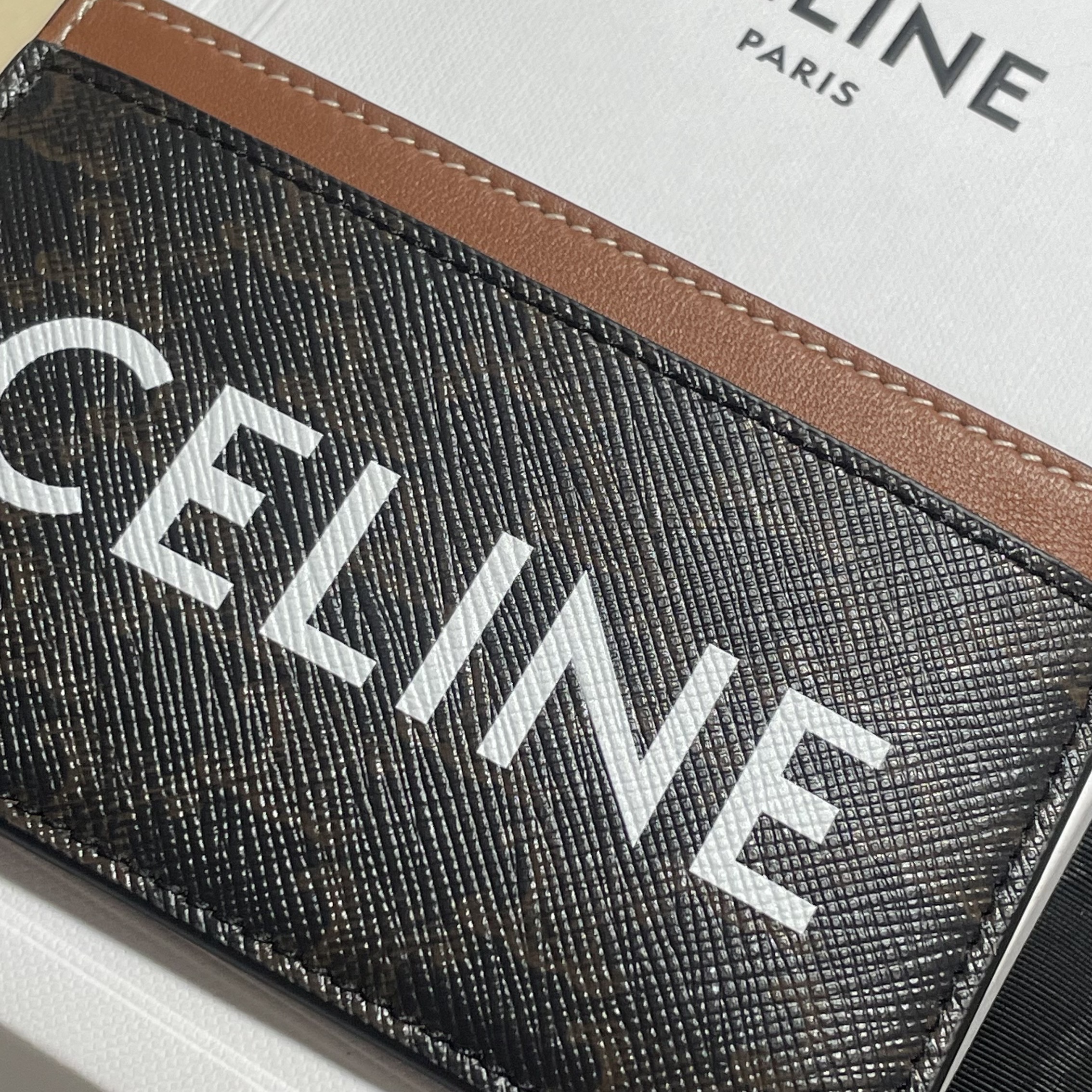 Celine Card Holder in Triomphe Canvas with Celine Print Tan 착용 스타일 - 1