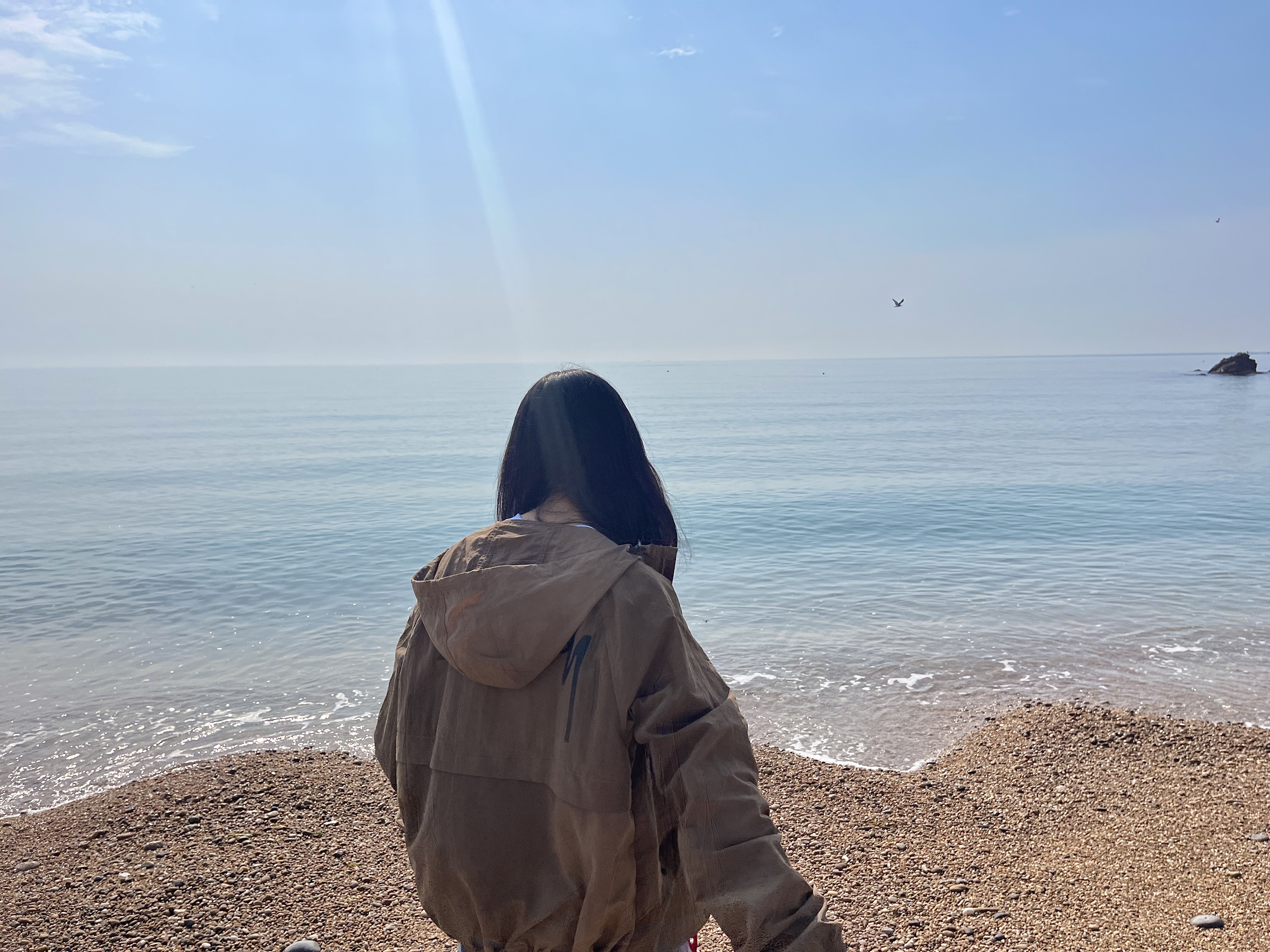 Stussy Wave Dye Beach Shell Jacket Brown 착용 스타일