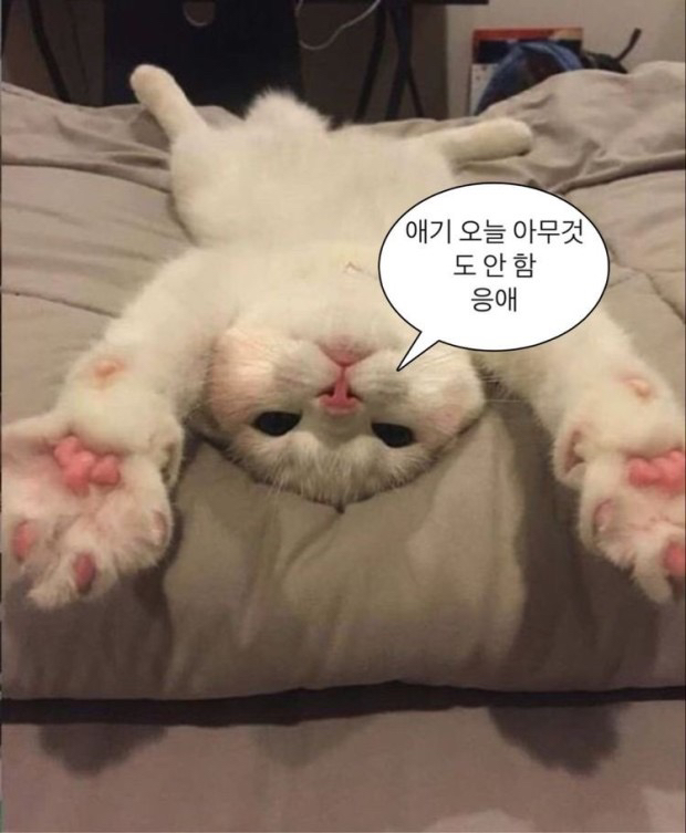 관심 유저 프로필 이미지