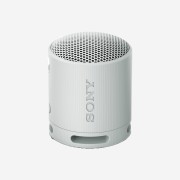 Sony SRS-XB100 Light Gray (Sony Korea Ver.)