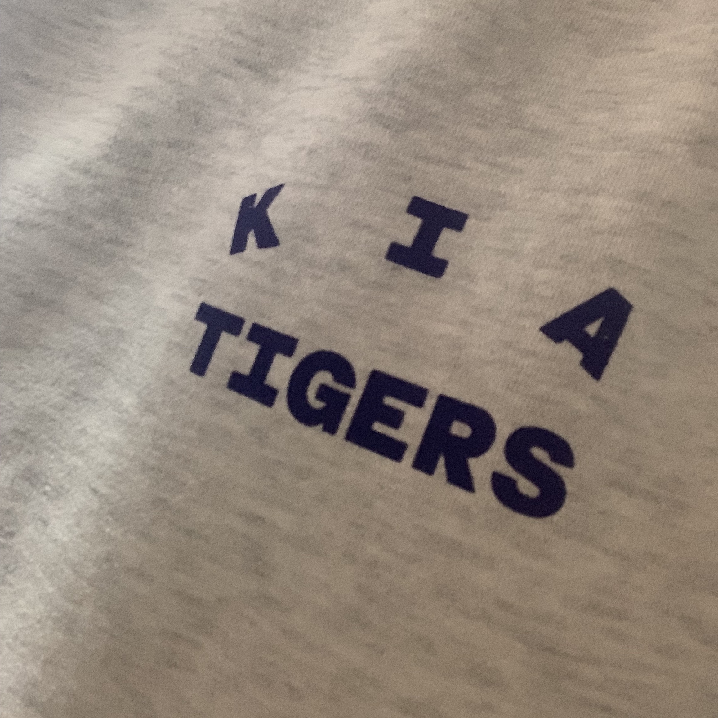 Kia Tigers x IAB Studio Brand Day Hoodie Grey 착용 스타일