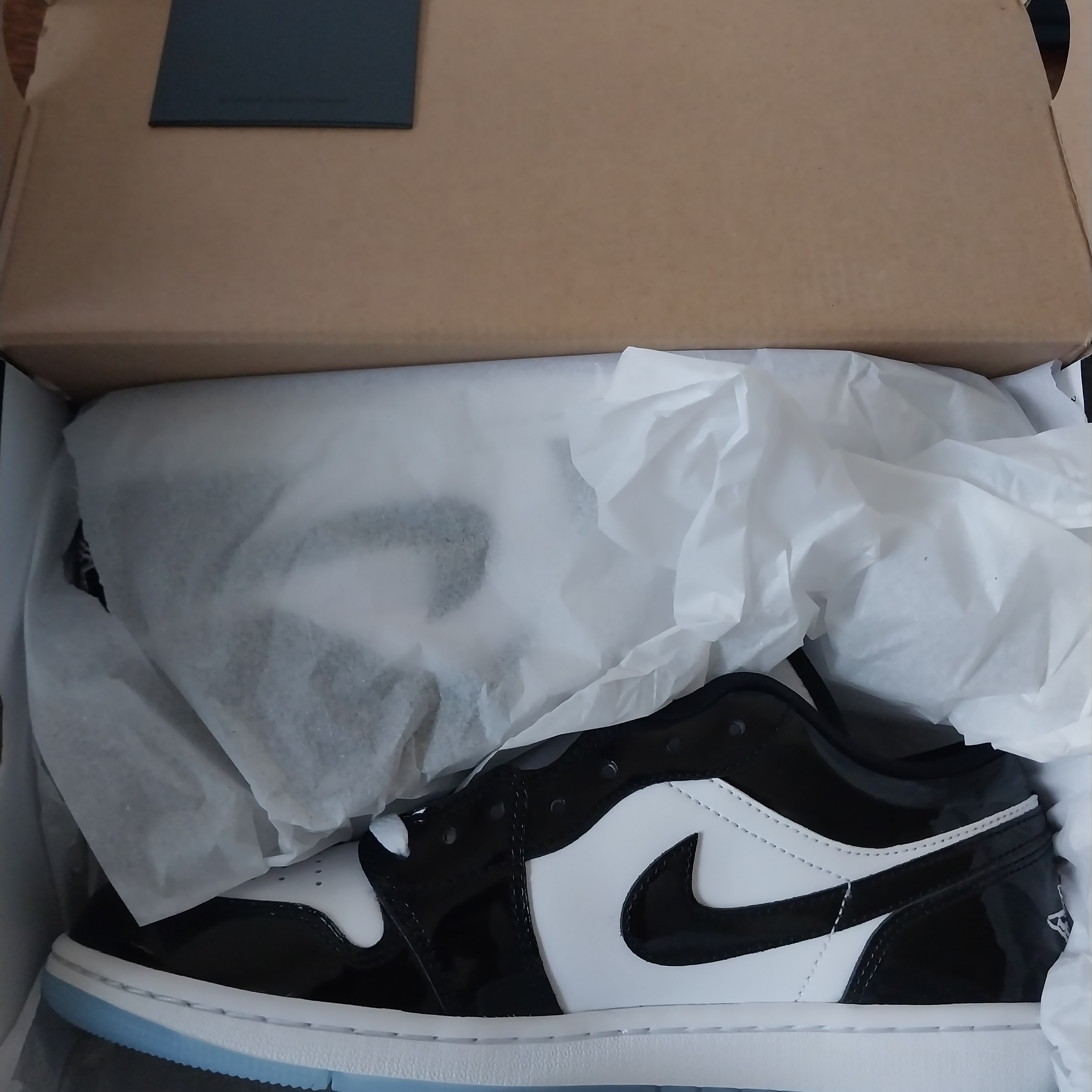 Jordan 1 Low SE Concord 착용 스타일