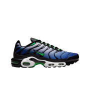 Nike Air Max Plus Black Deep Royal