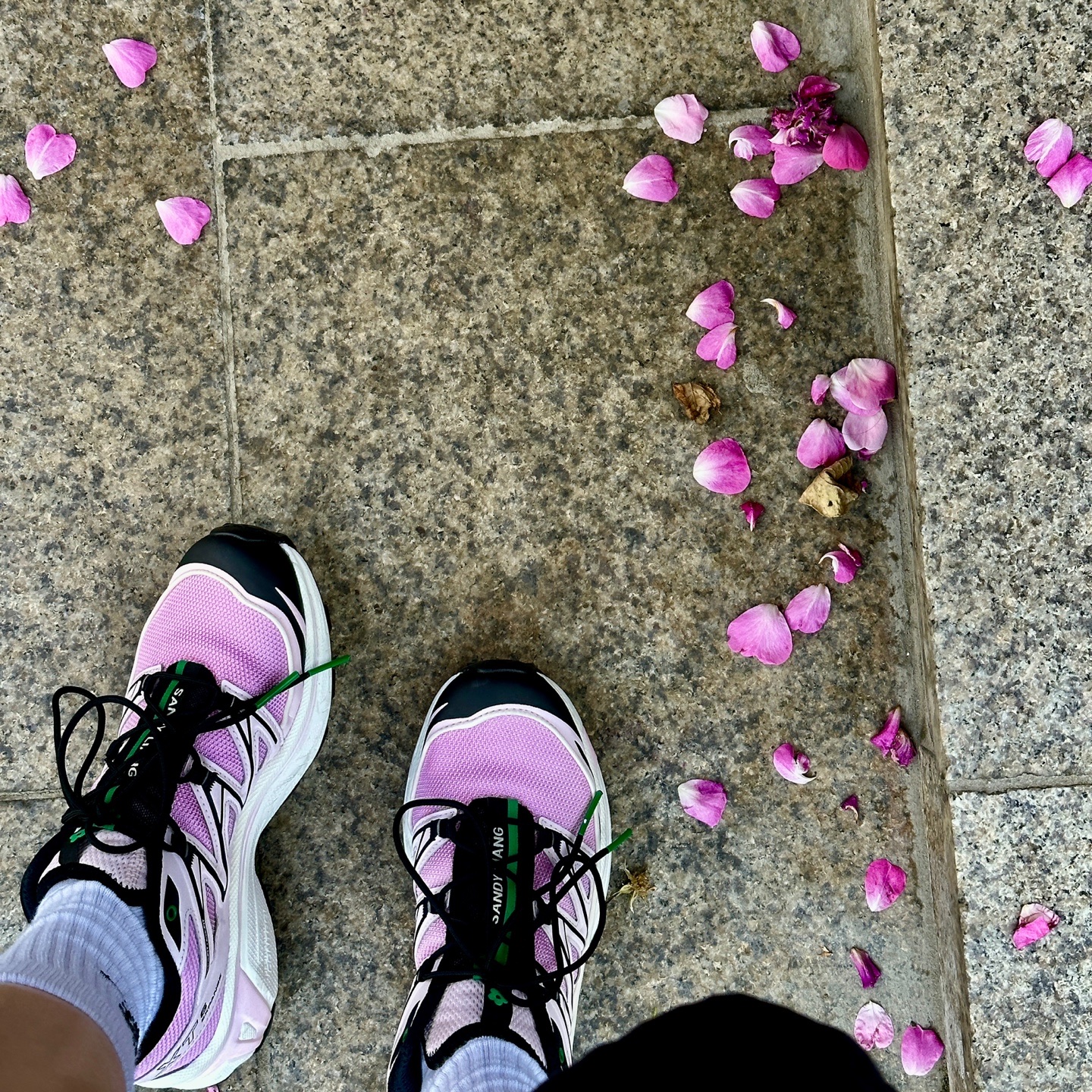 Salomon x Sandy Liang XT-6 Expanse Cradle Pink 착용 스타일 - 1