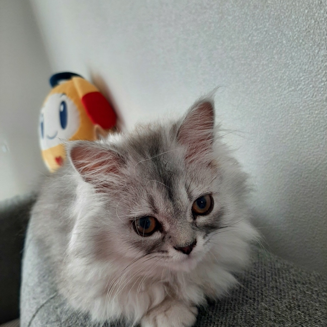 zimba99님의 스타일