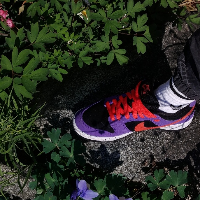 Nike SB Dunk Low Pro Trail 착용 스타일
