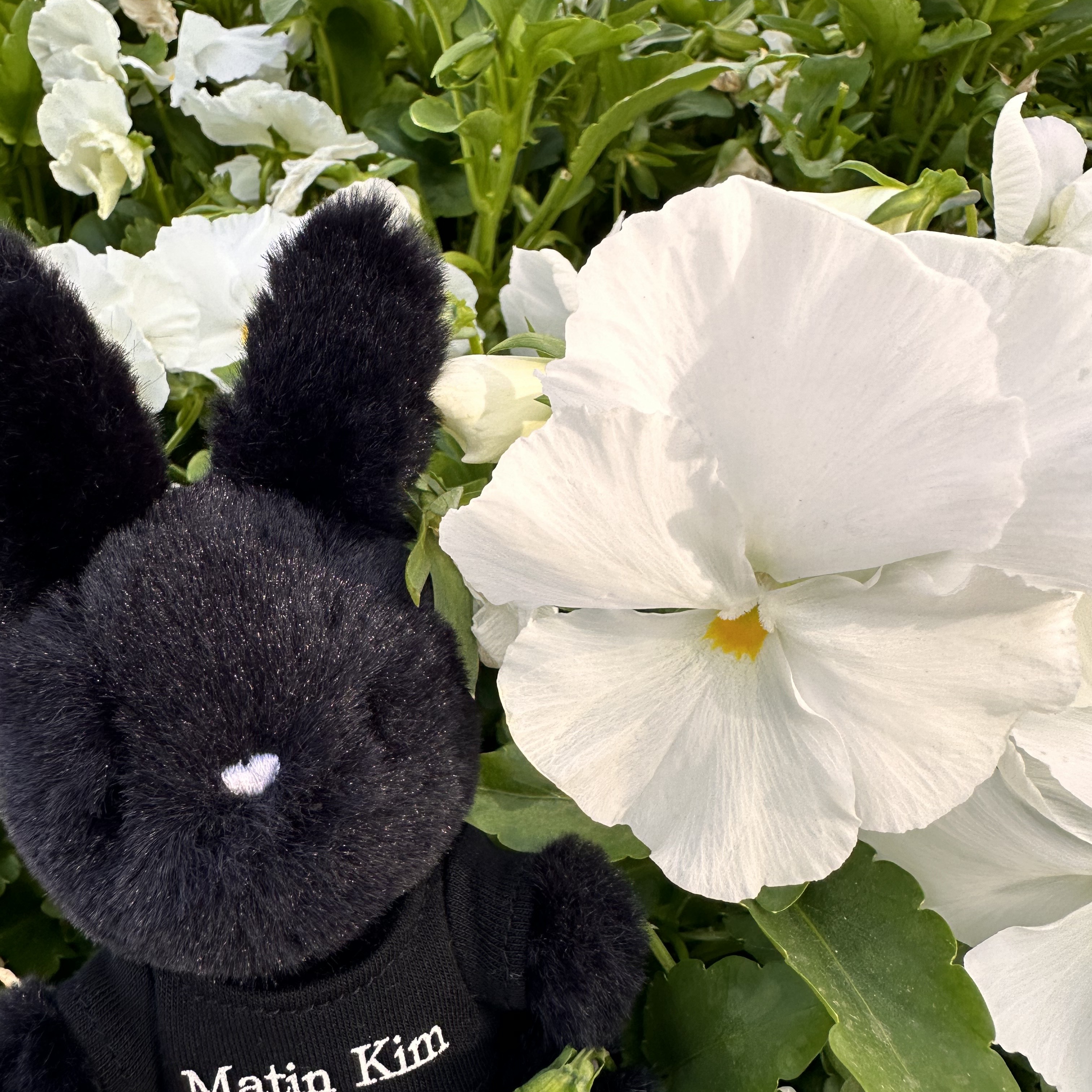 Matin Kim Black Bunny Toy Keyring Black 착용 스타일