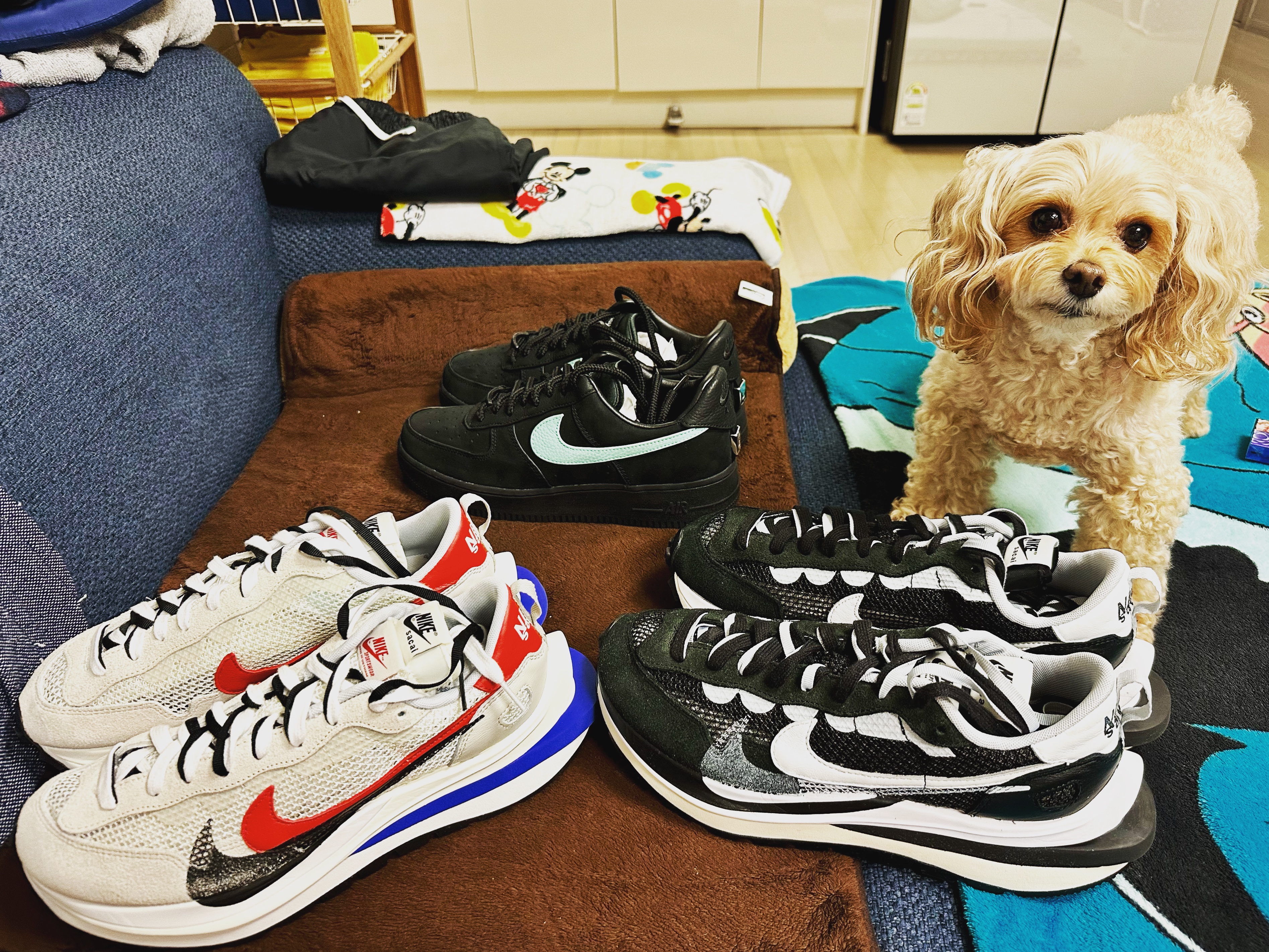 Nike x Tiffany & Co. Air Force 1 Low SP 1837, Nike x Sacai VaporWaffle Royal Fuchsia 착용 스타일